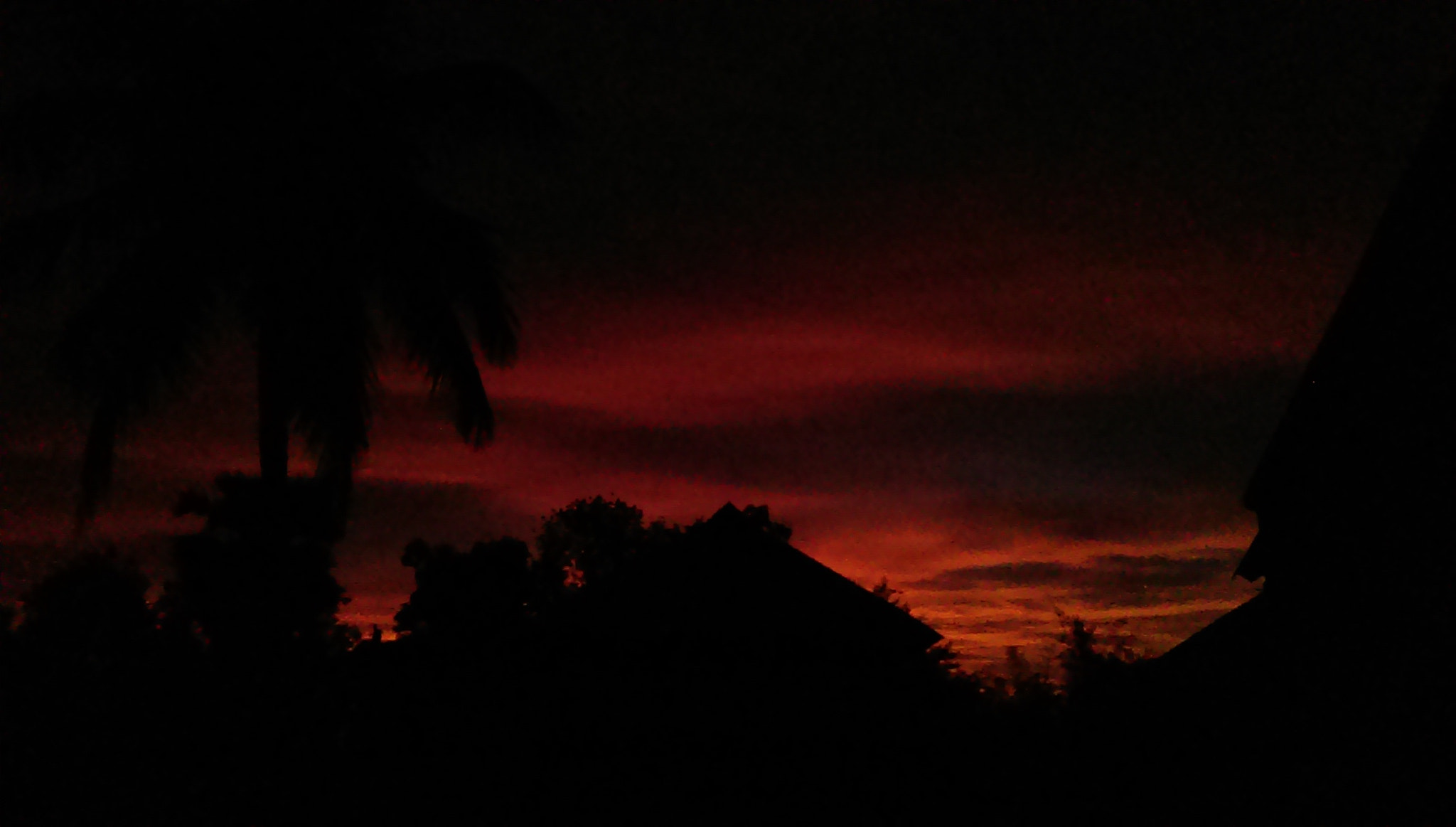 HTC DESIRE 610 sample photo