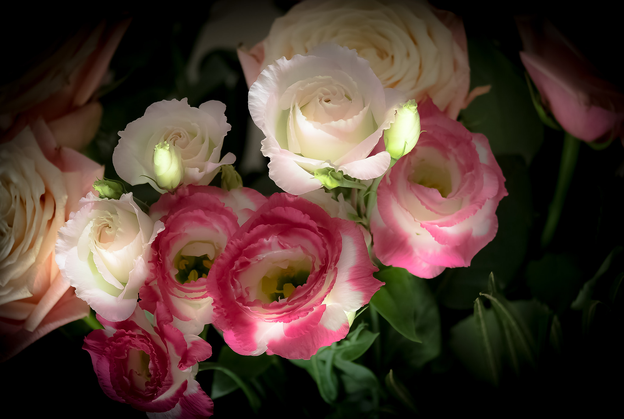 Fujifilm X-Pro1 + Fujifilm XF 55-200mm F3.5-4.8 R LM OIS sample photo. Fleurs photography