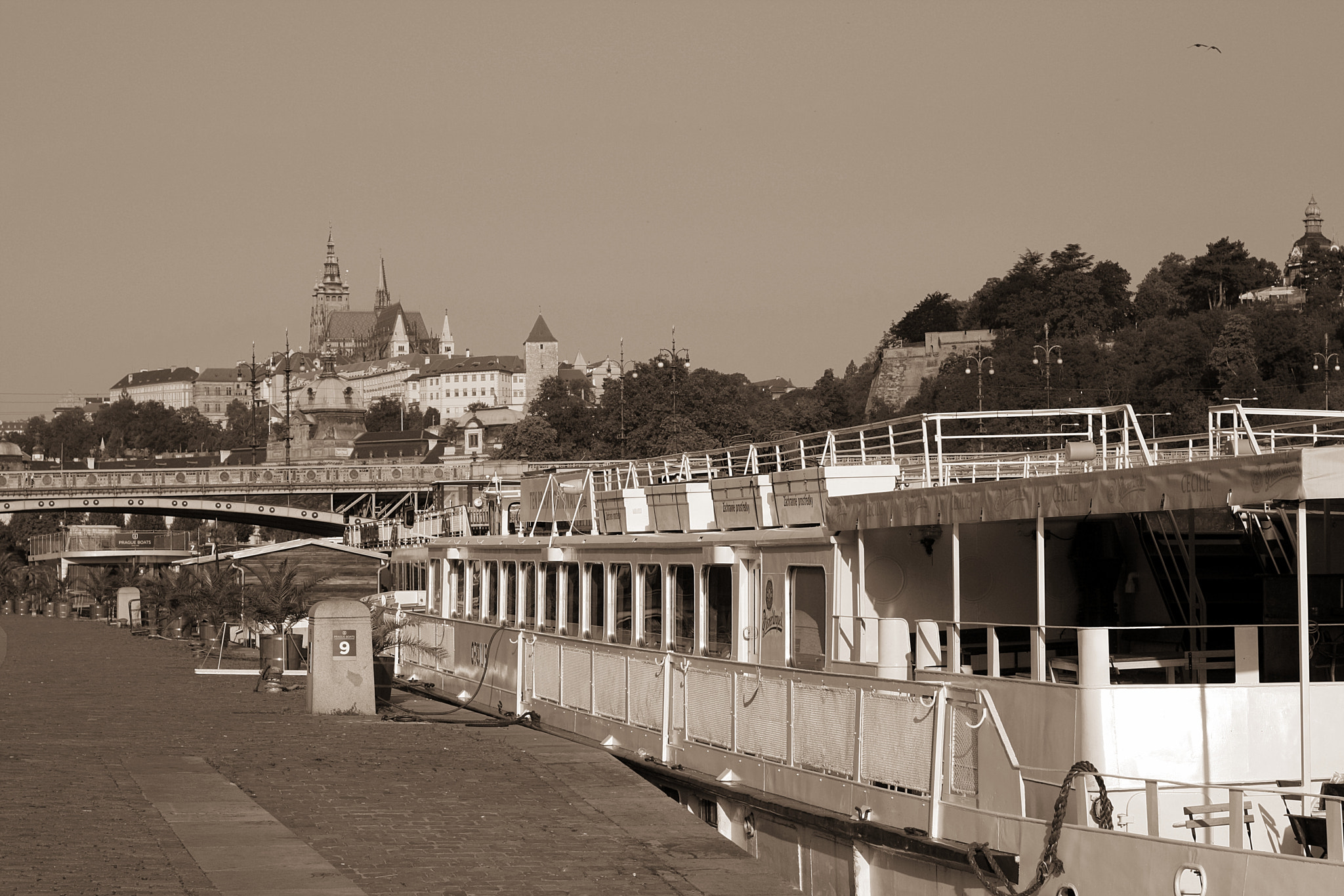 Canon EOS 1000D (EOS Digital Rebel XS / EOS Kiss F) + Canon EF 50mm F1.8 II sample photo. Prague castle photography