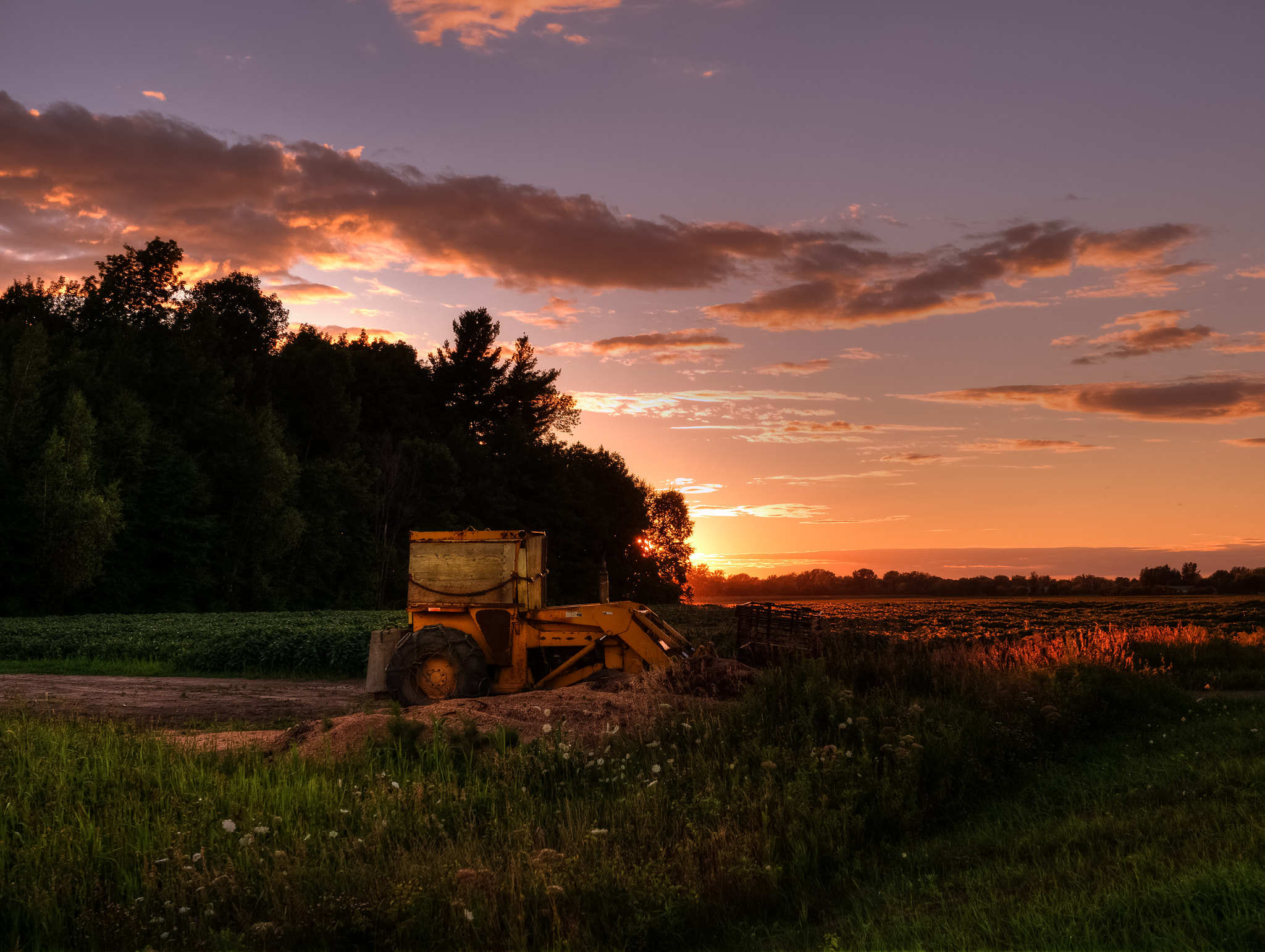 Panasonic Lumix DMC-G7 + LUMIX G 25/F1.7 sample photo. Tractor sunset photography