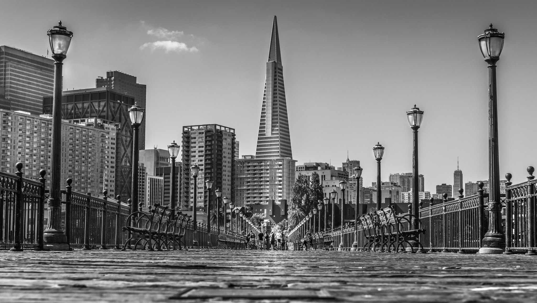 Sony a7R + 24-70mm F2.8 sample photo. Pier7 san francisco photography