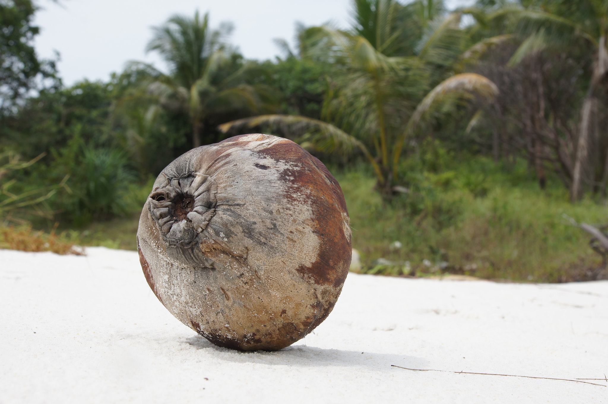 Sony Alpha DSLR-A580 sample photo. Koh rong island photography