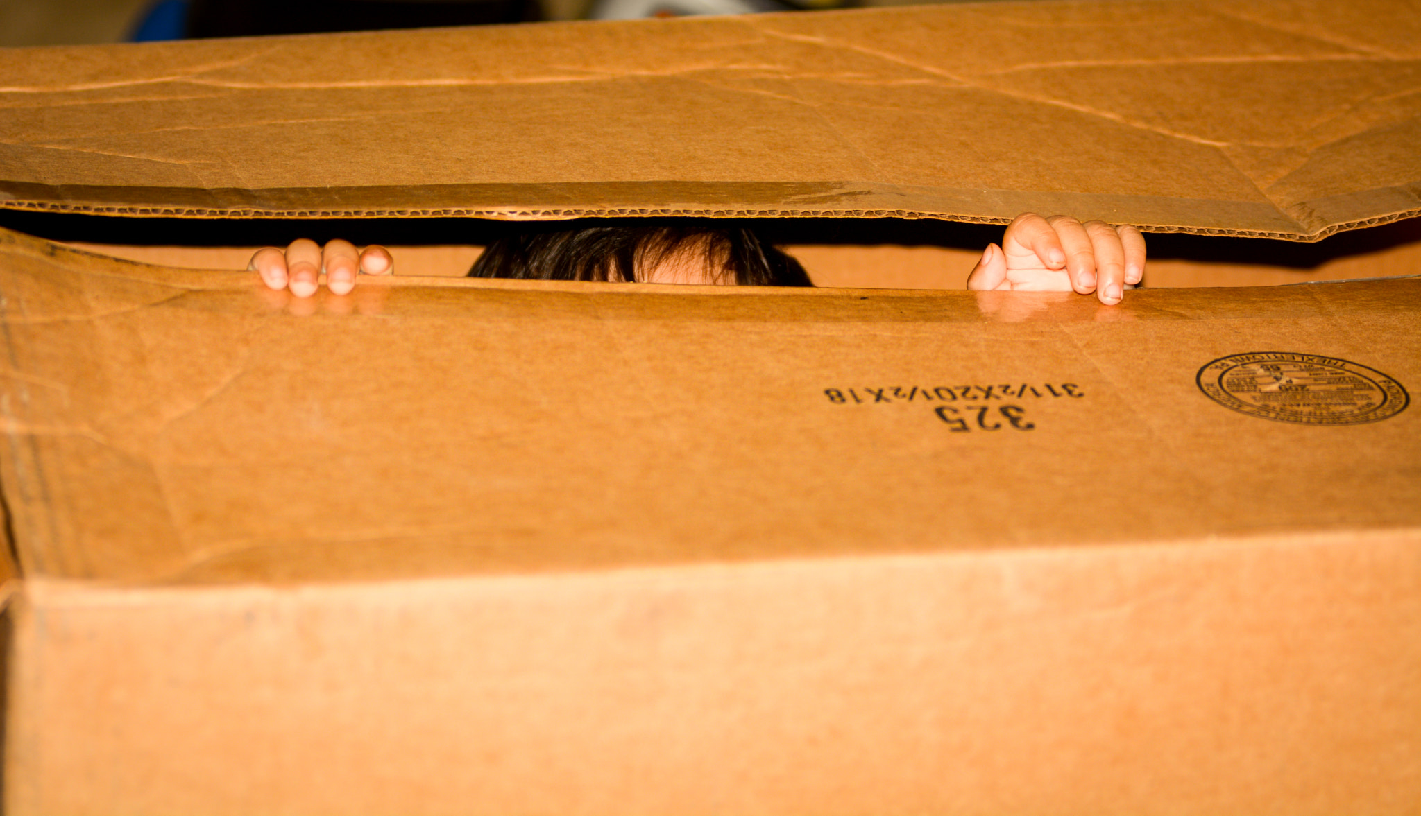 AF Zoom-Nikkor 80-200mm f/2.8 ED sample photo. Peekaboo photography