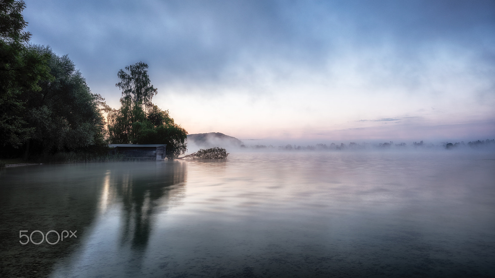 Canon TS-E 24.0mm f/3.5 L II sample photo. Nebel morgen photography