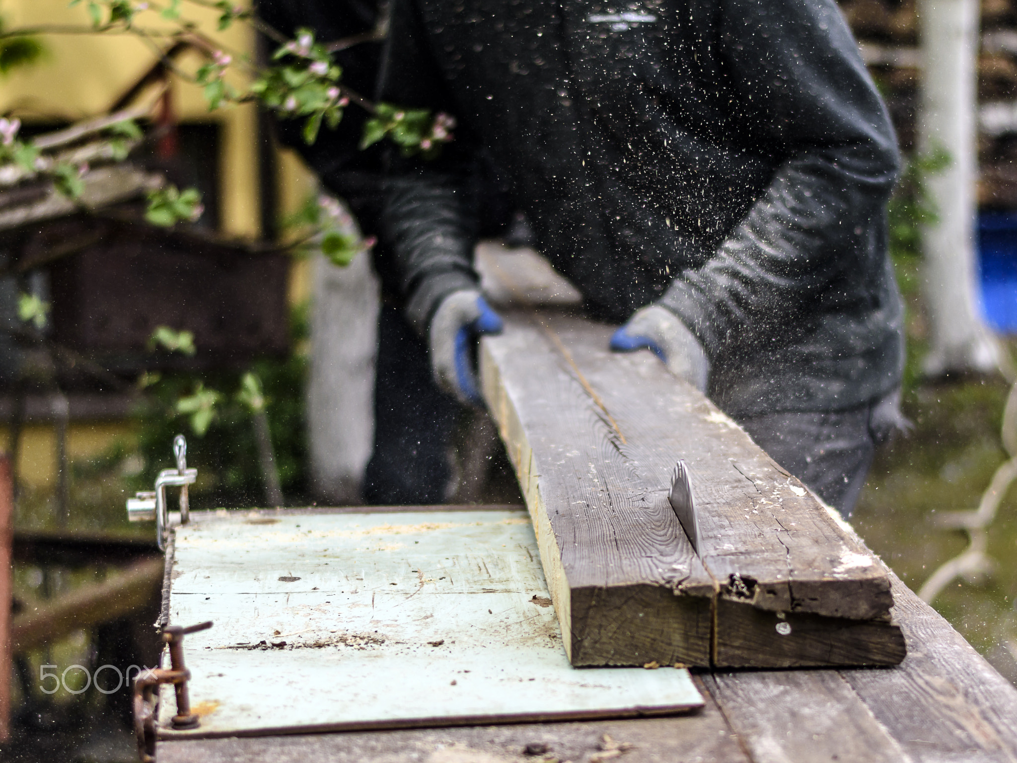 People cutting wood at local sawmill