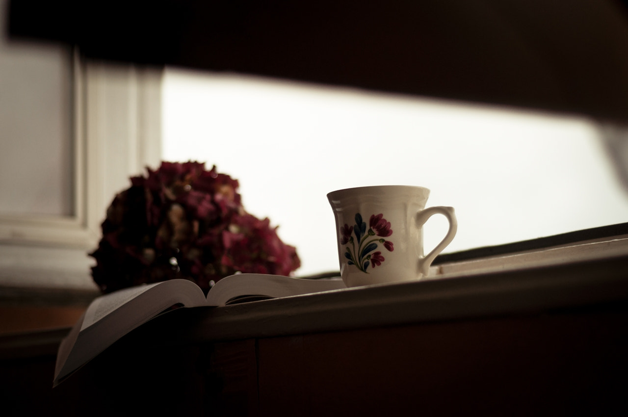 Nikon D5000 + Nikon AF Nikkor 50mm F1.8D sample photo. Sweet home photography