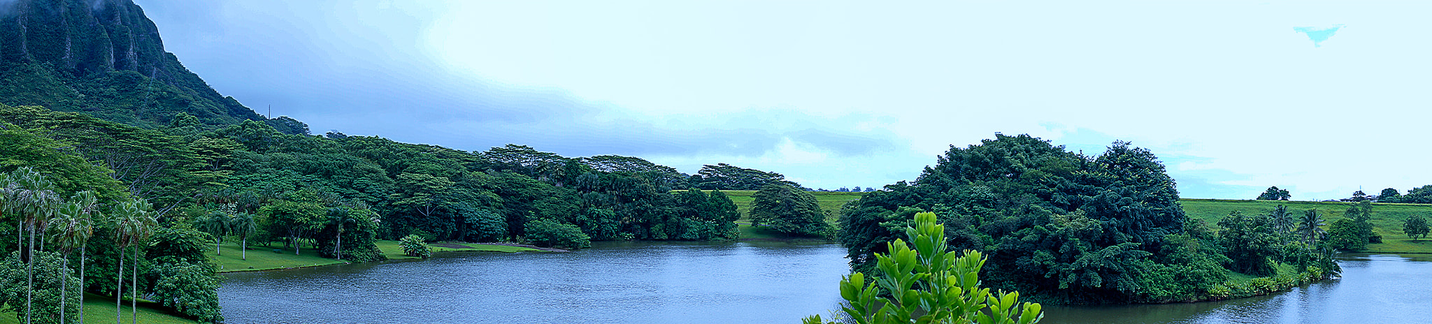 Sony FE 28mm F2 sample photo. Pond pano photography