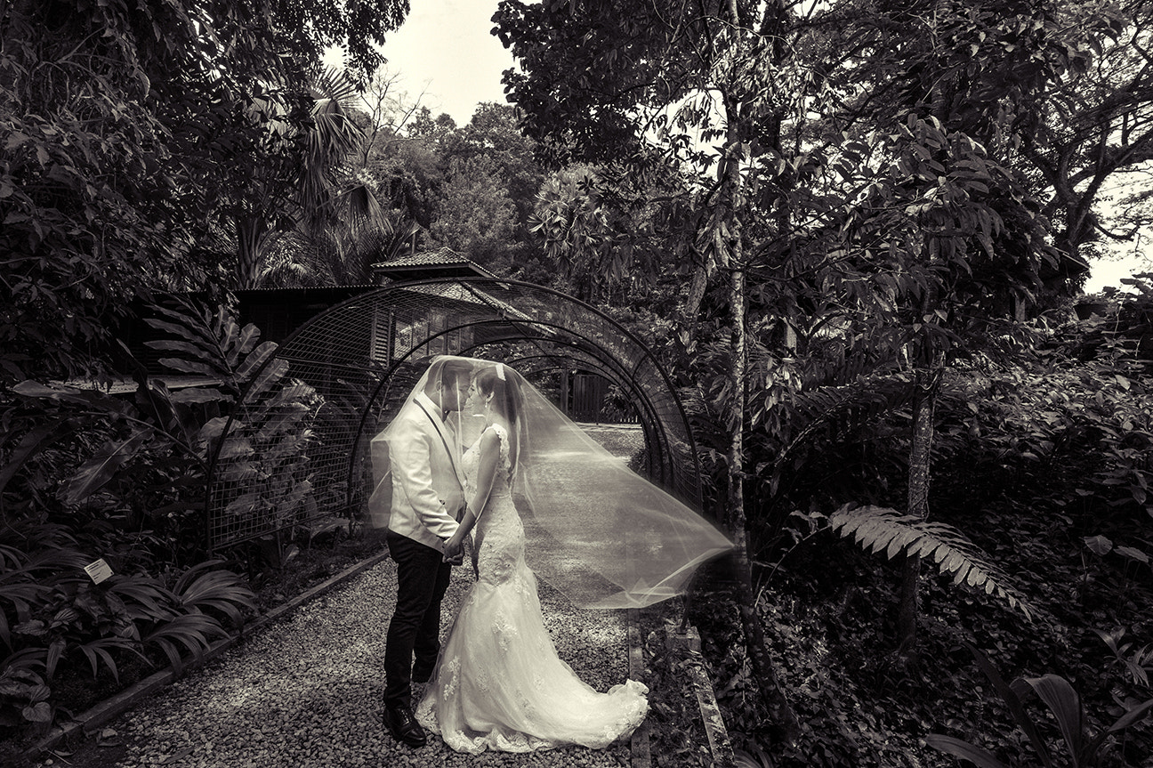 Nikon AF-S Nikkor 18-35mm F3.5-4.5G ED sample photo. Tropical spice garden photography