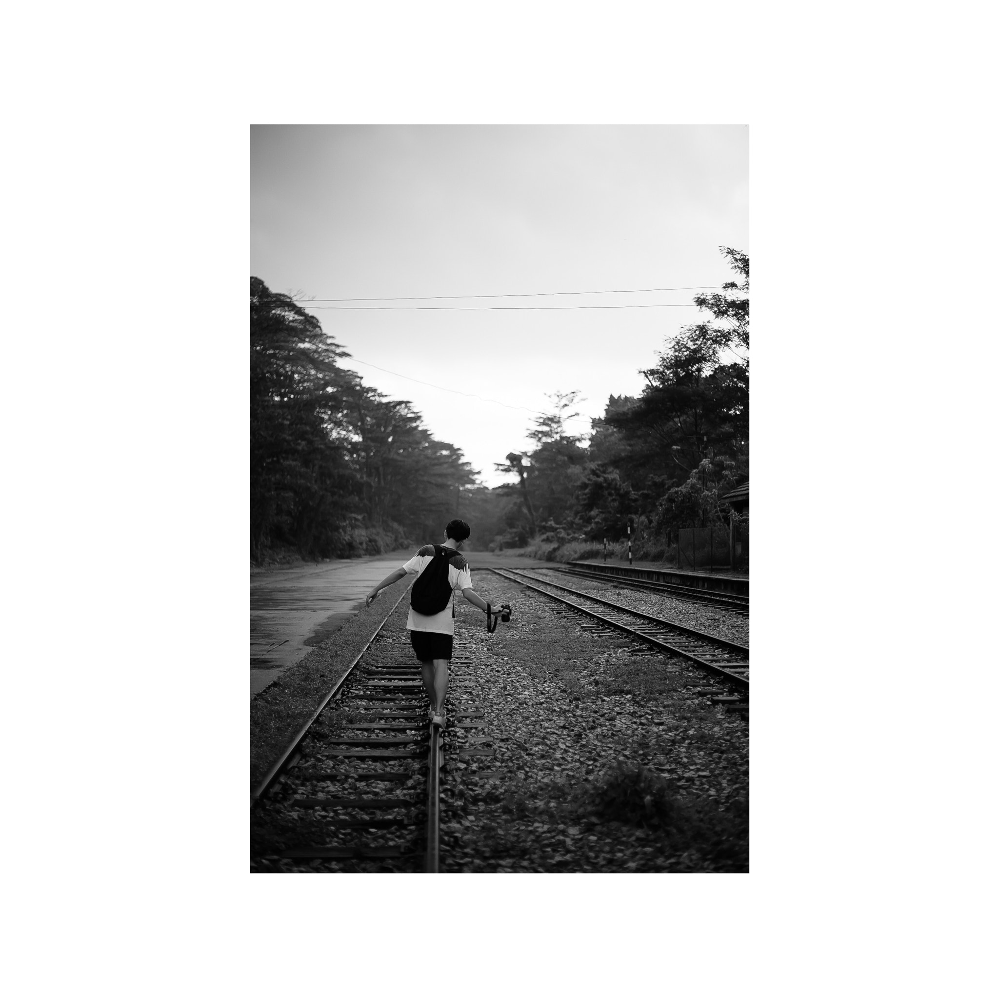 Canon EOS-1Ds Mark II + Canon EF 50mm F1.8 II sample photo. Road photography