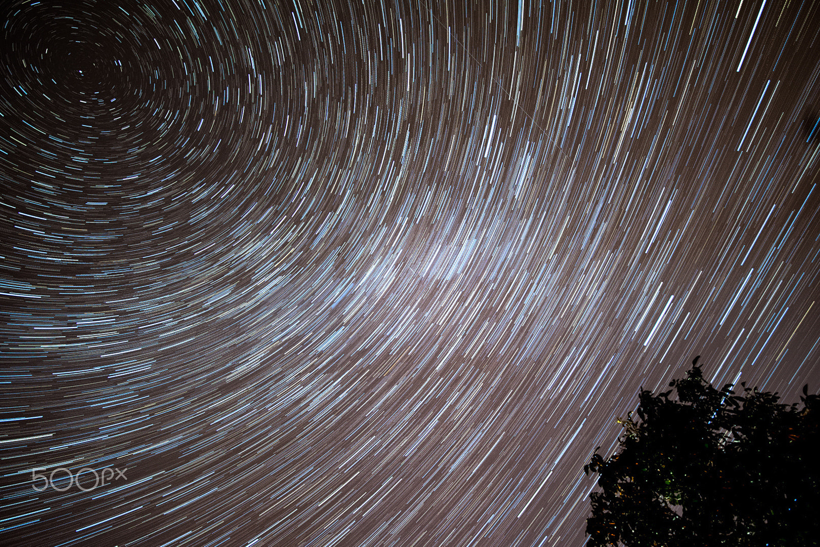 Samyang 14mm F2.8 ED AS IF UMC sample photo. Star trail photography