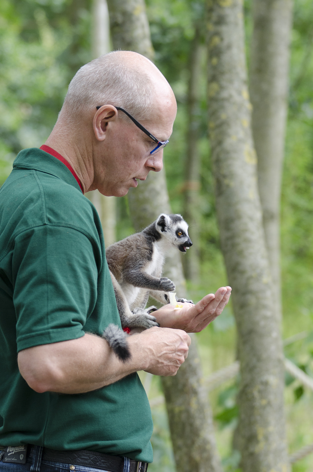 Sigma 70-200mm F2.8 EX DG OS HSM sample photo. Caretaker with lemur youngster photography