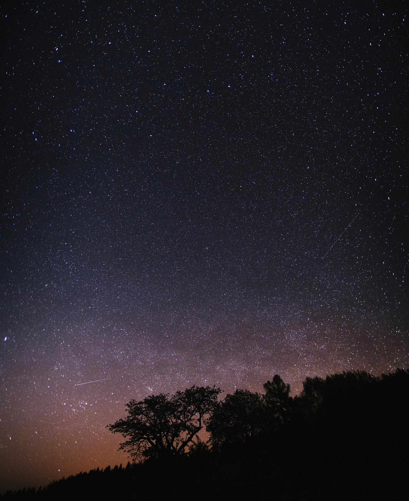 Canon EOS 6D + Sigma 20mm EX f/1.8 sample photo. Night vision photography