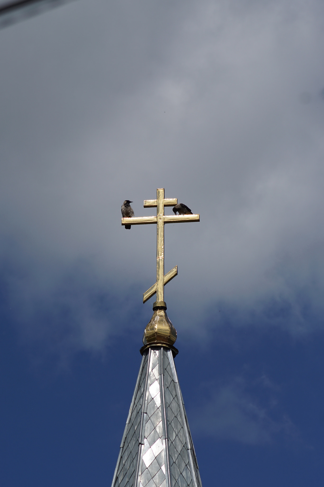 Sony a6000 + Sony 100mm F2.8 Macro sample photo. Crow on the cross photography