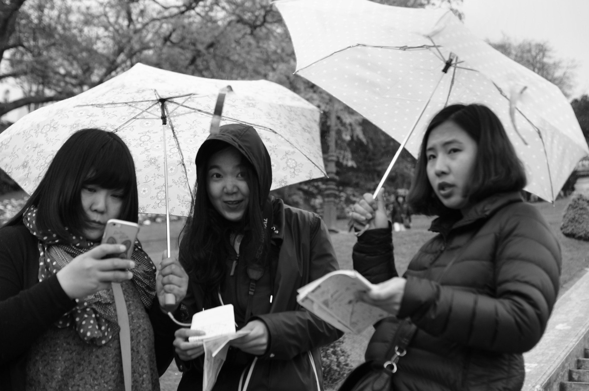 Sony SLT-A57 + Sony DT 35mm F1.8 SAM sample photo. Foreign tourists at montmartre photography