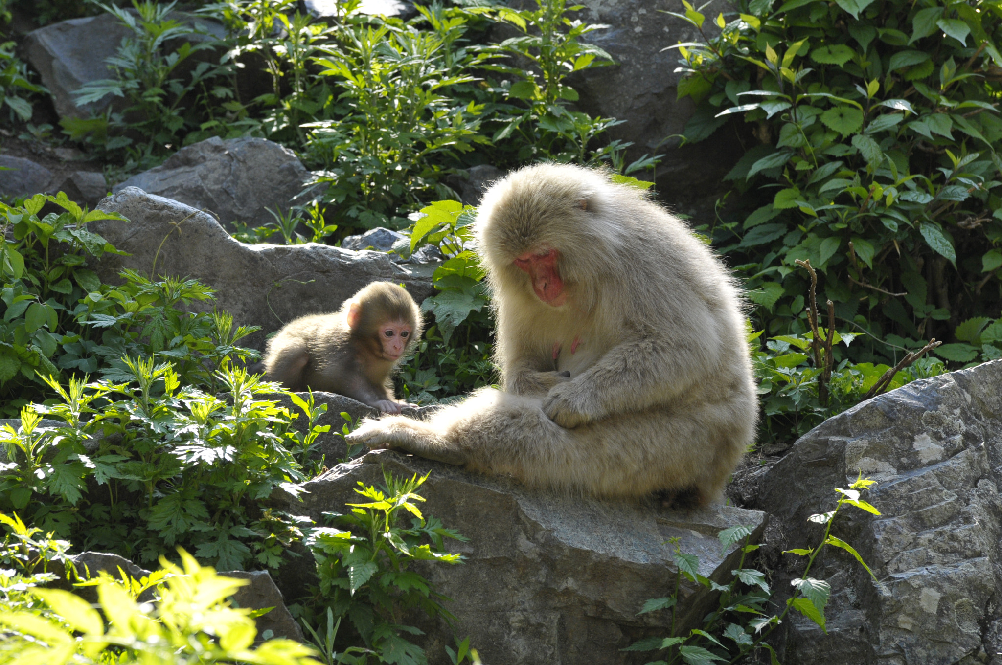 Nikon D300 sample photo. Mother and  child photography