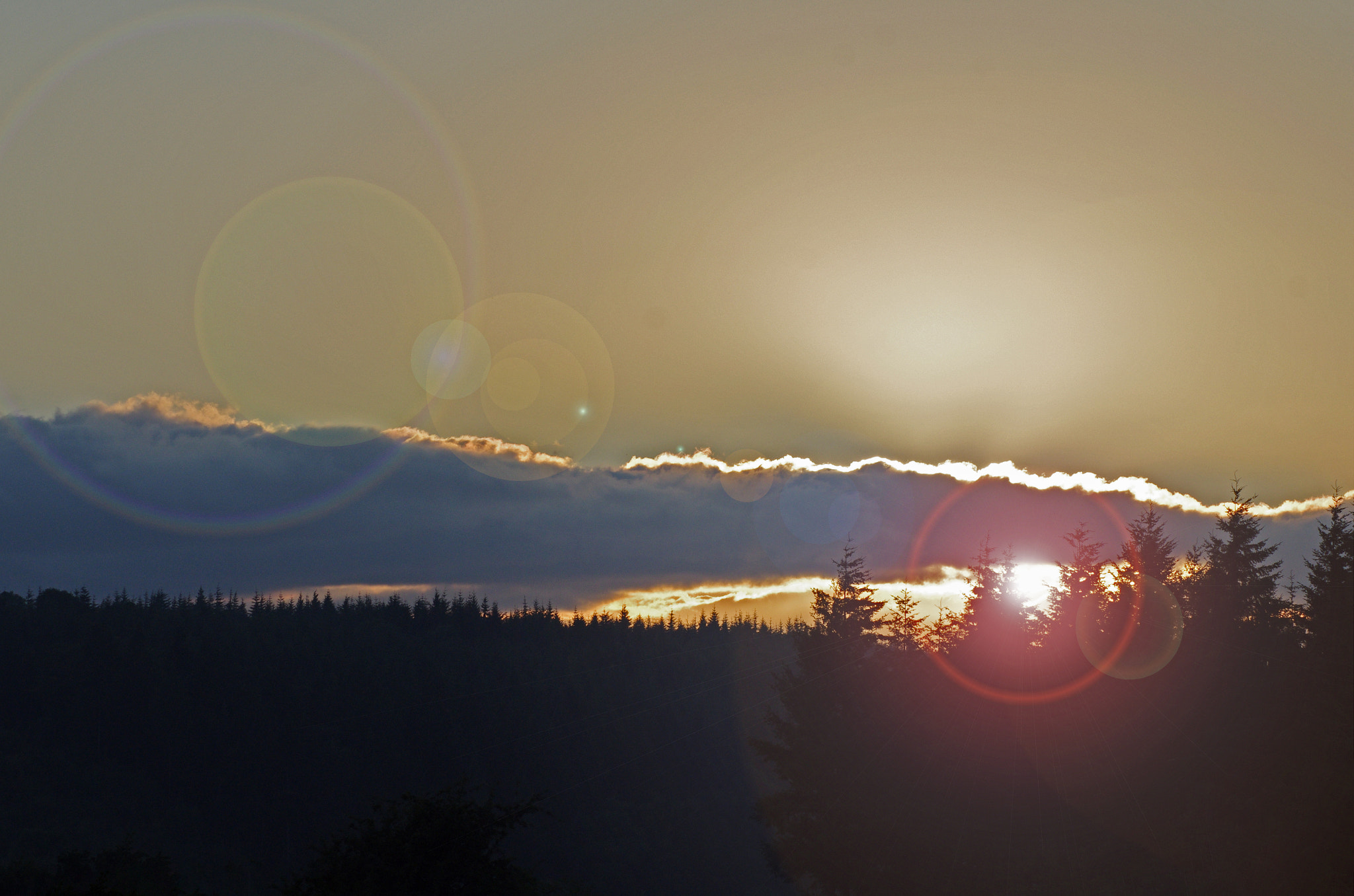 Pentax K-5 + Tamron AF 70-300mm F4-5.6 Di LD Macro sample photo. Sunset in the forest of dean photography