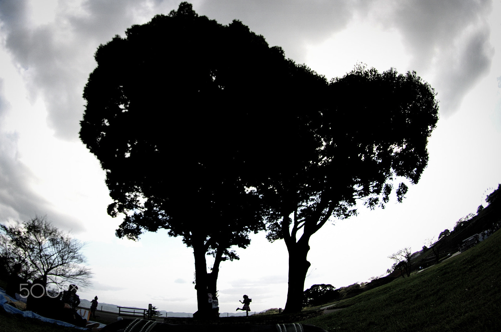 Nikon AF DX Fisheye-Nikkor 10.5mm F2.8G ED sample photo. Dance! photography