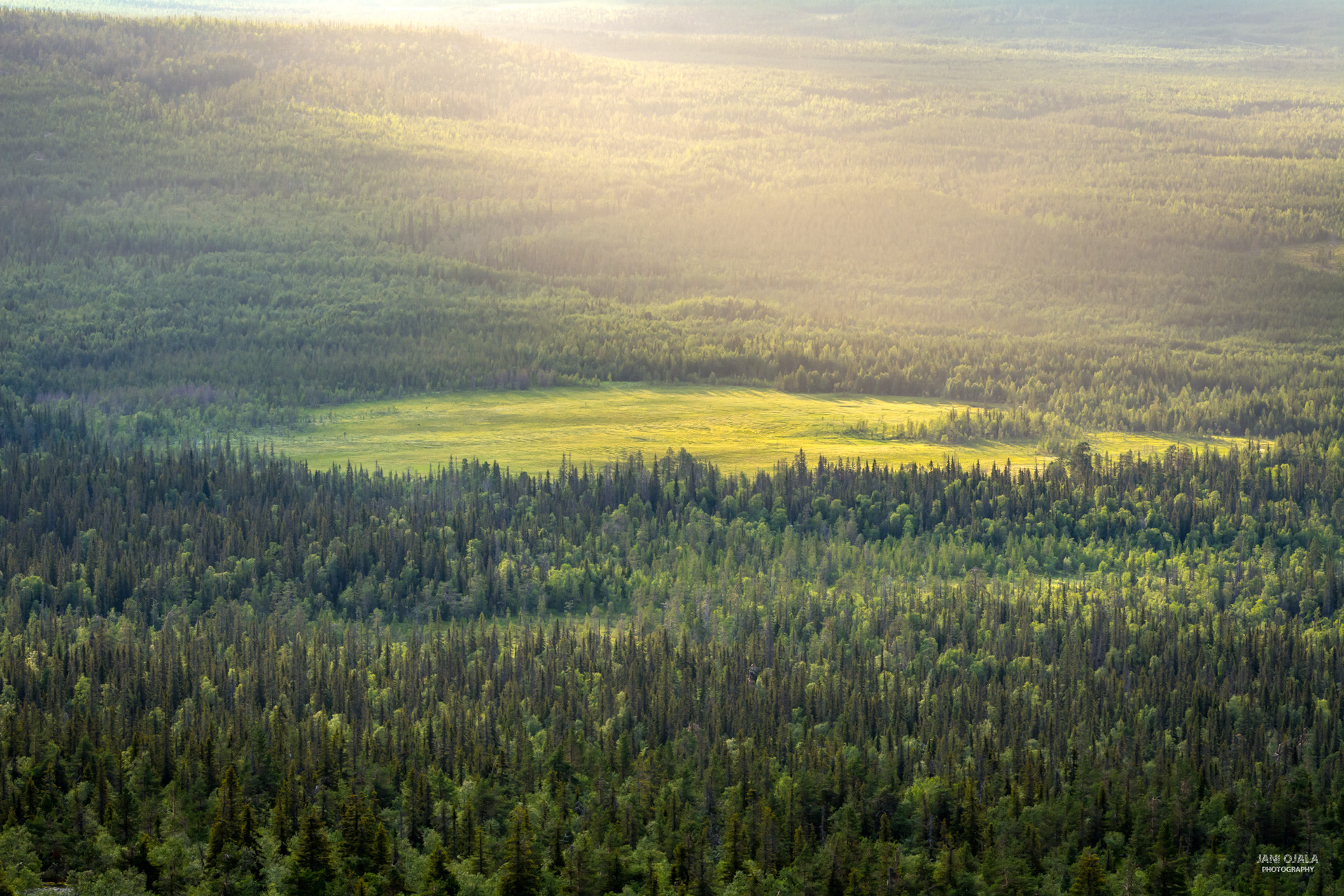 Nikon AF-S Nikkor 70-200mm F2.8G ED VR II sample photo. Misty forest photography