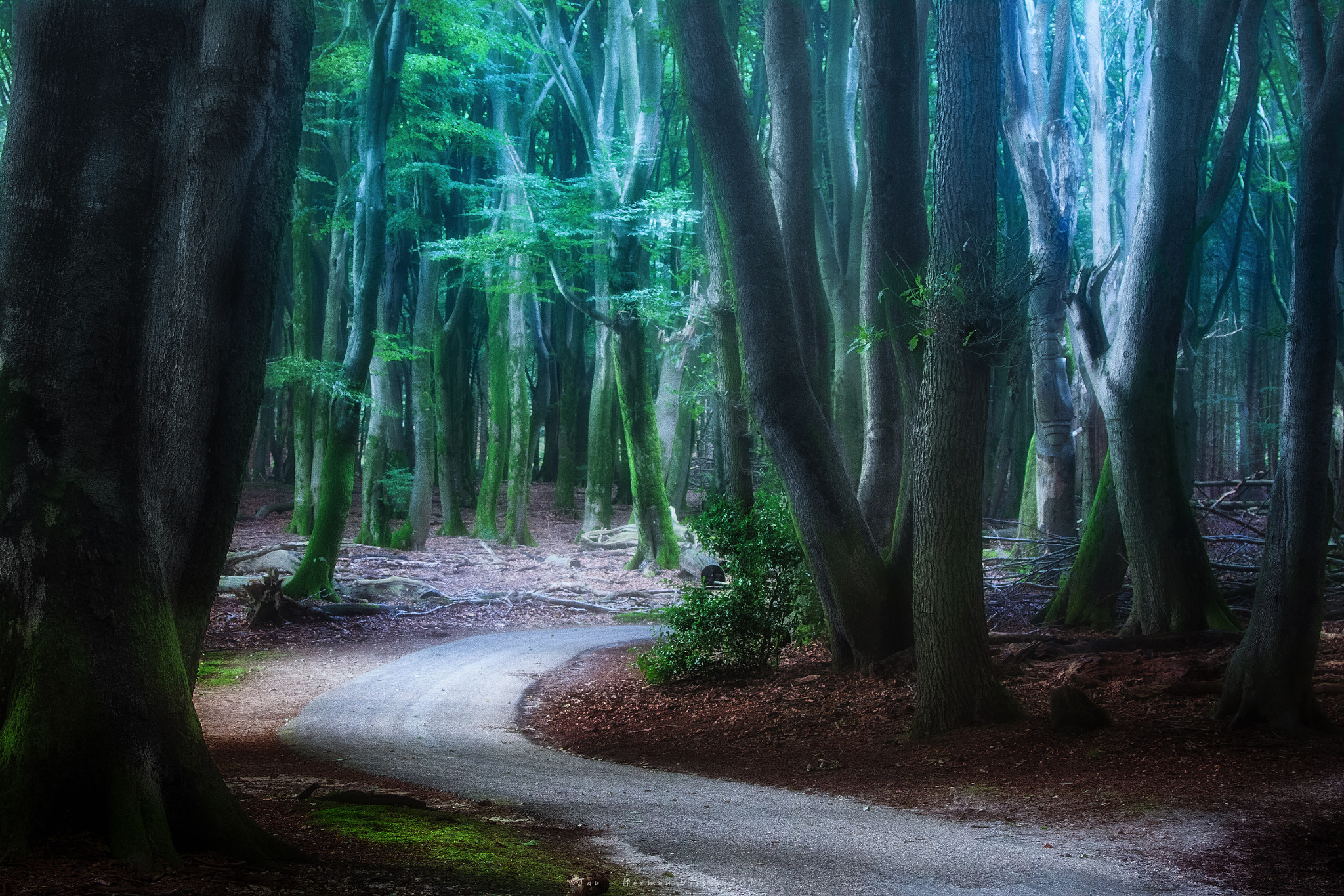Canon EF 50-200mm f/3.5-4.5 sample photo. Around the bend... photography