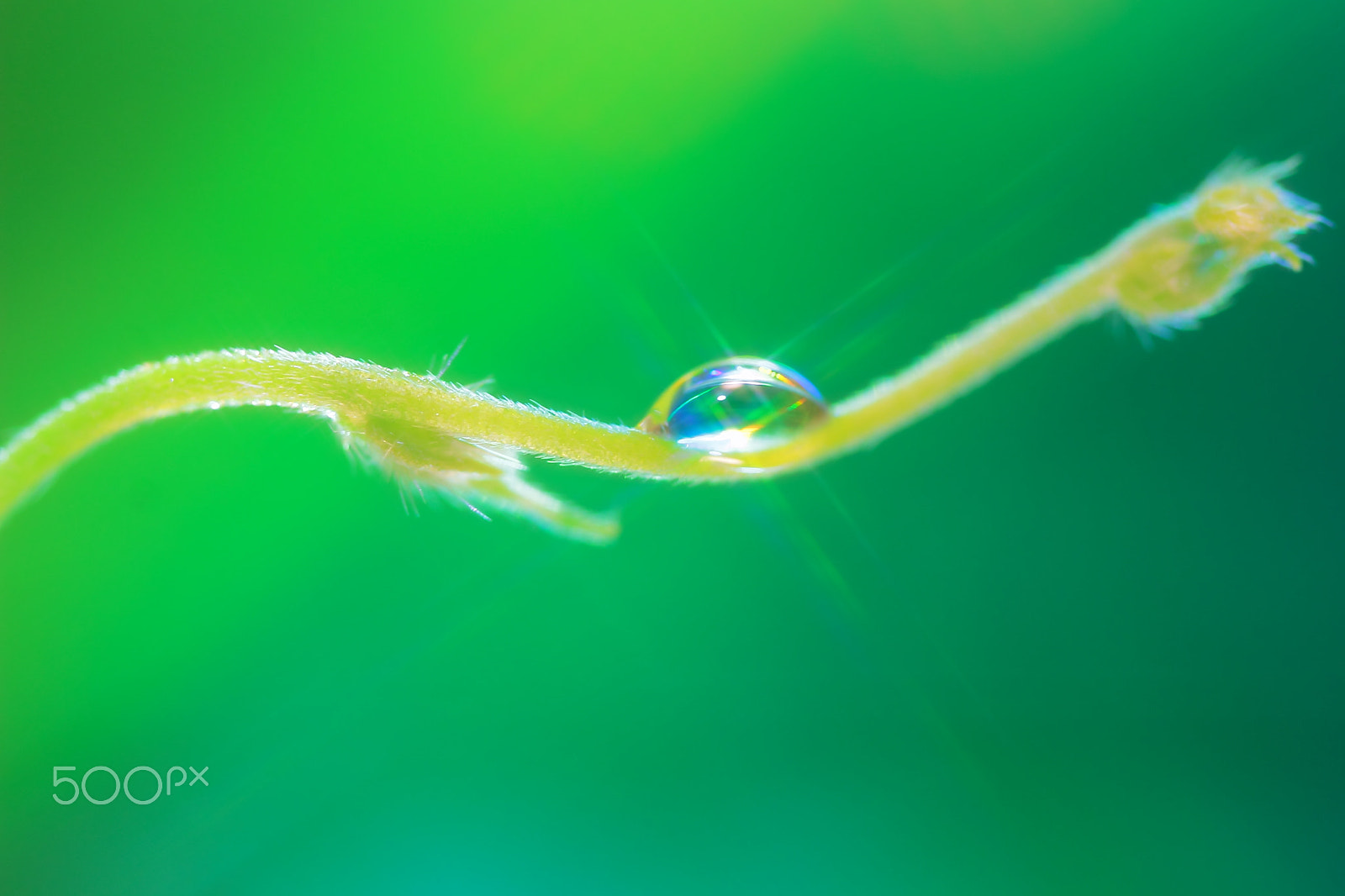 Canon EF 100mm F2.8 Macro USM sample photo. Wave photography