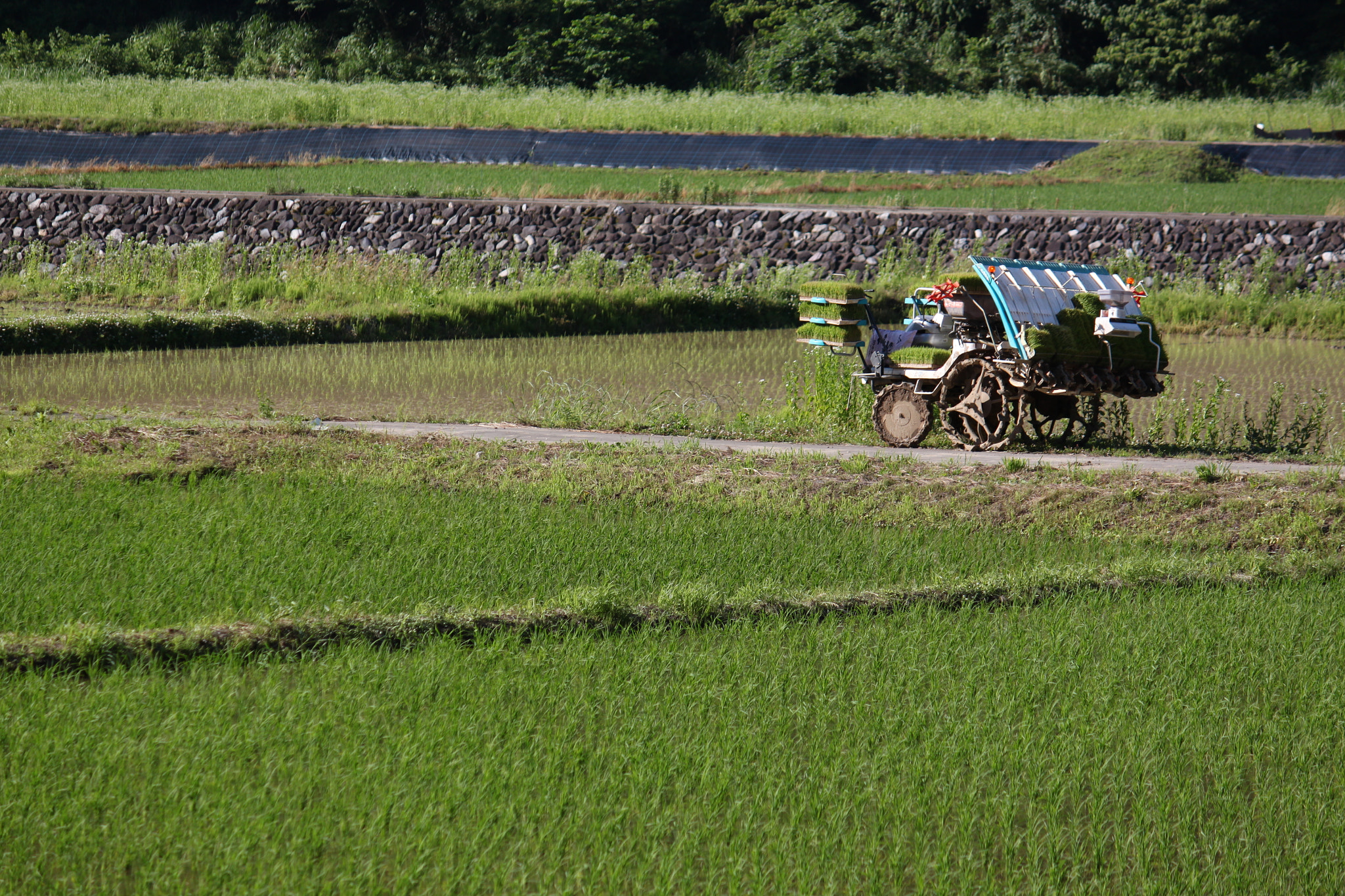 Canon EOS 500D (EOS Rebel T1i / EOS Kiss X3) sample photo. Machine and field photography