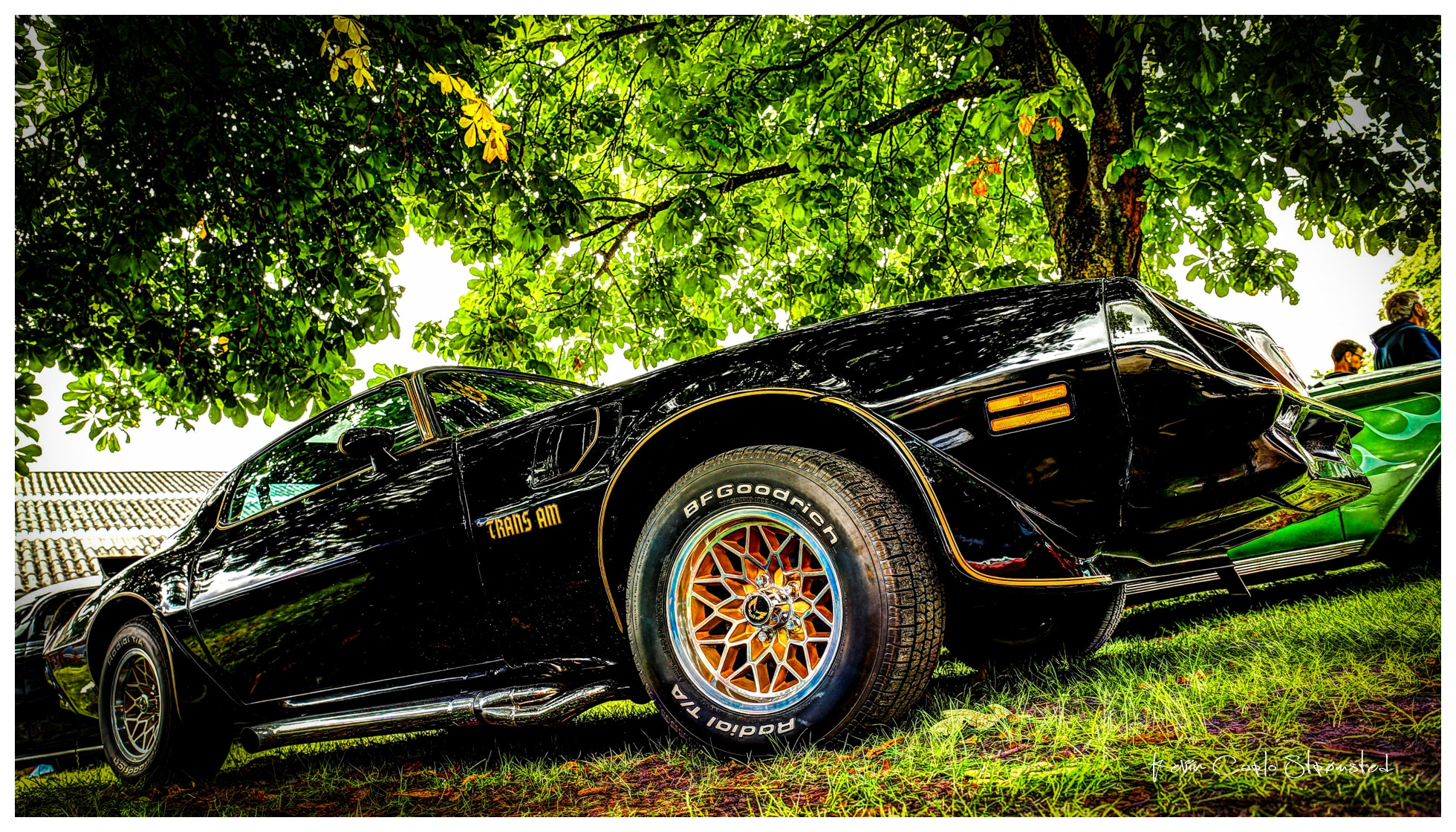 Canon EF 24-70mm F4L IS USM sample photo. Firebird photography