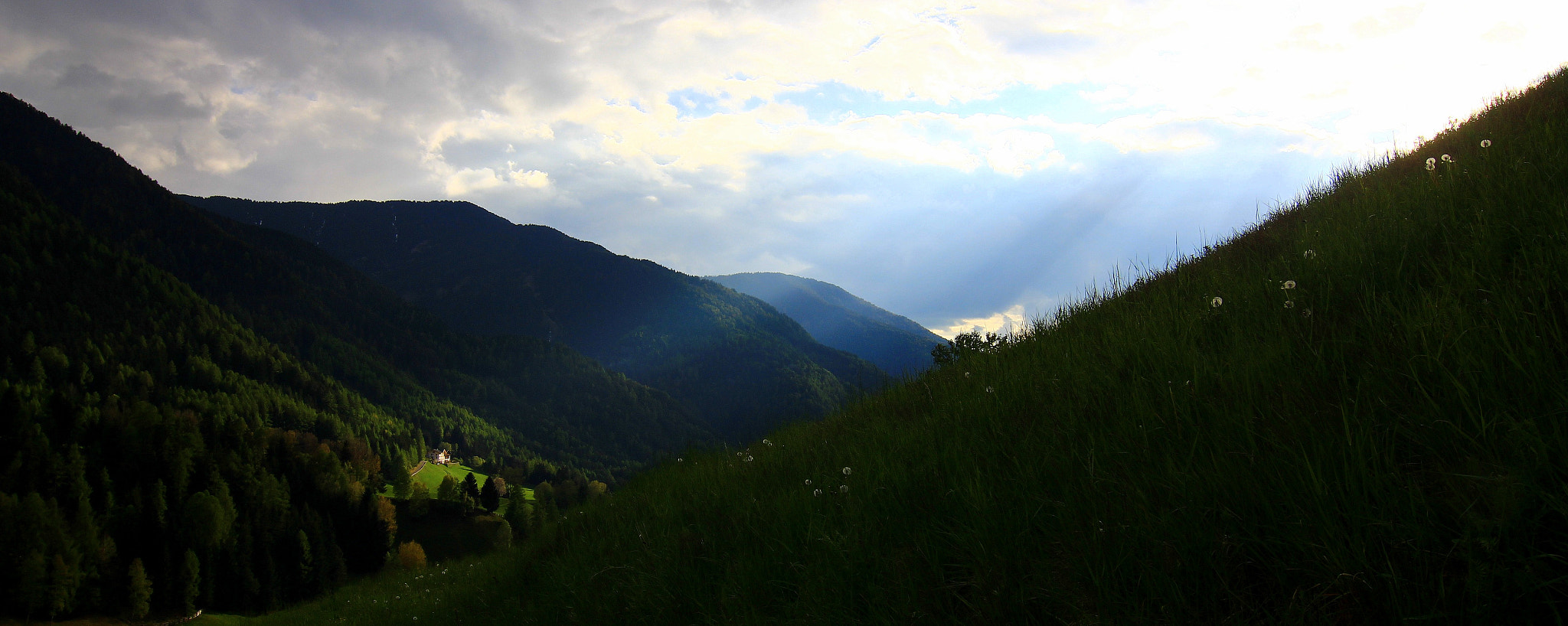 Tokina AT-X Pro 12-24mm F4 (IF) DX sample photo. The chosen one. photography