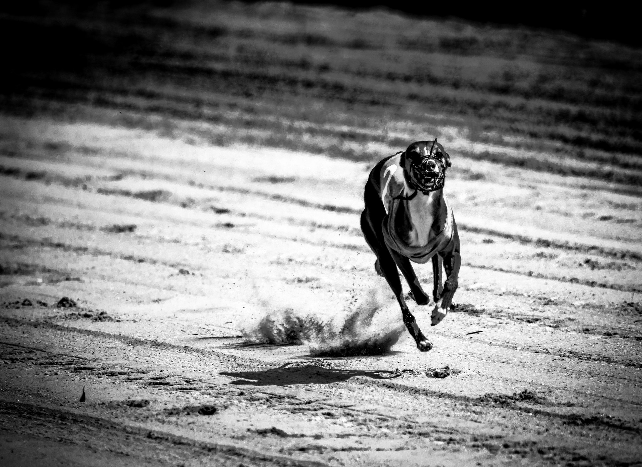 Canon EF 100-400mm F4.5-5.6L IS USM sample photo. Racing... photography