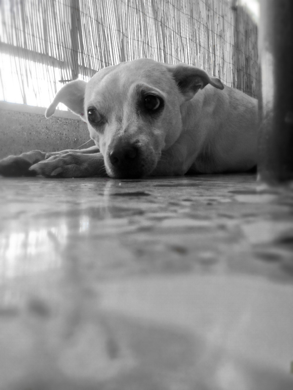 Lenovo A5500-H sample photo