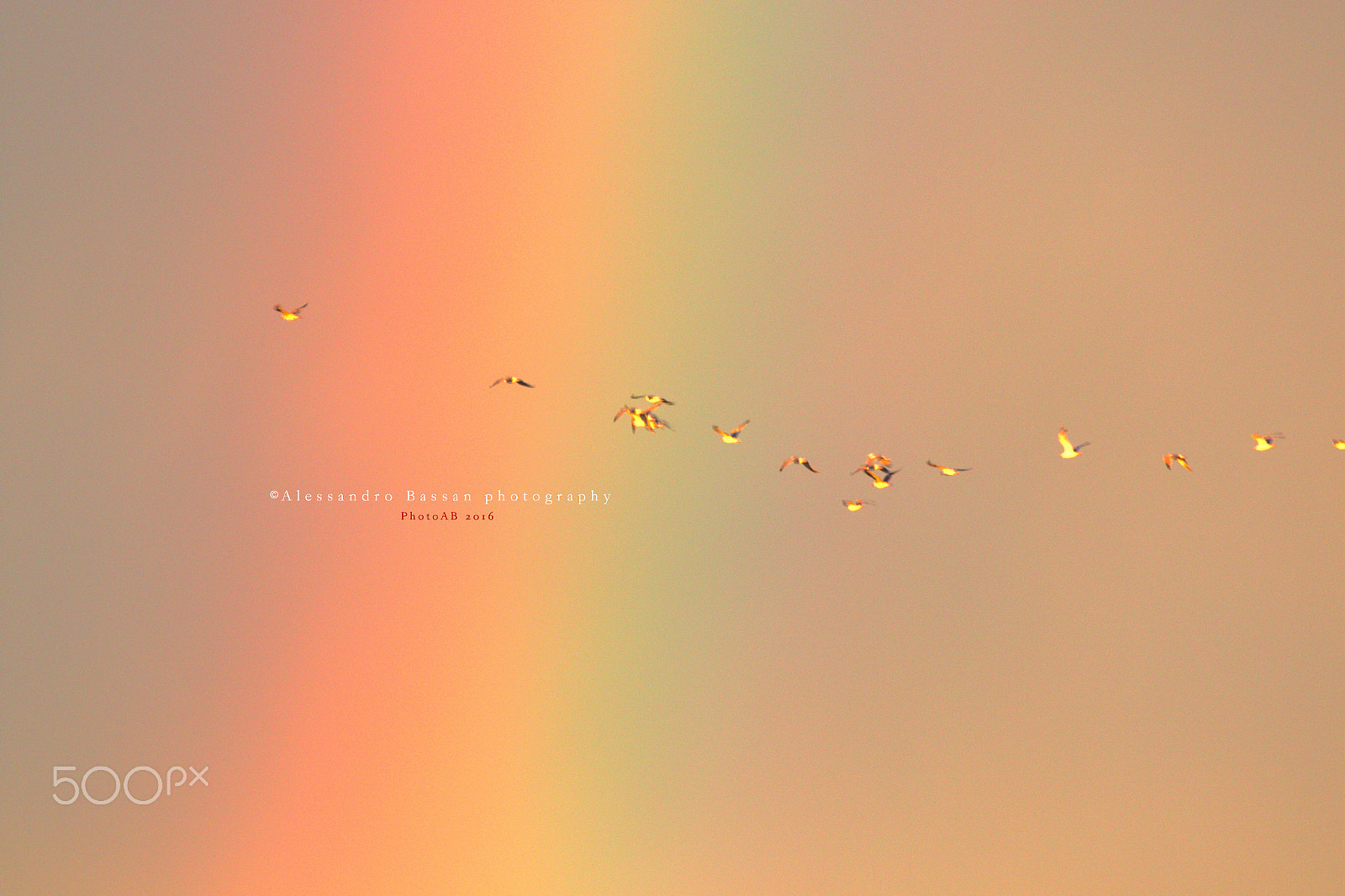 Canon EF 100-400mm F4.5-5.6L IS USM sample photo. Through the rainbow. photography