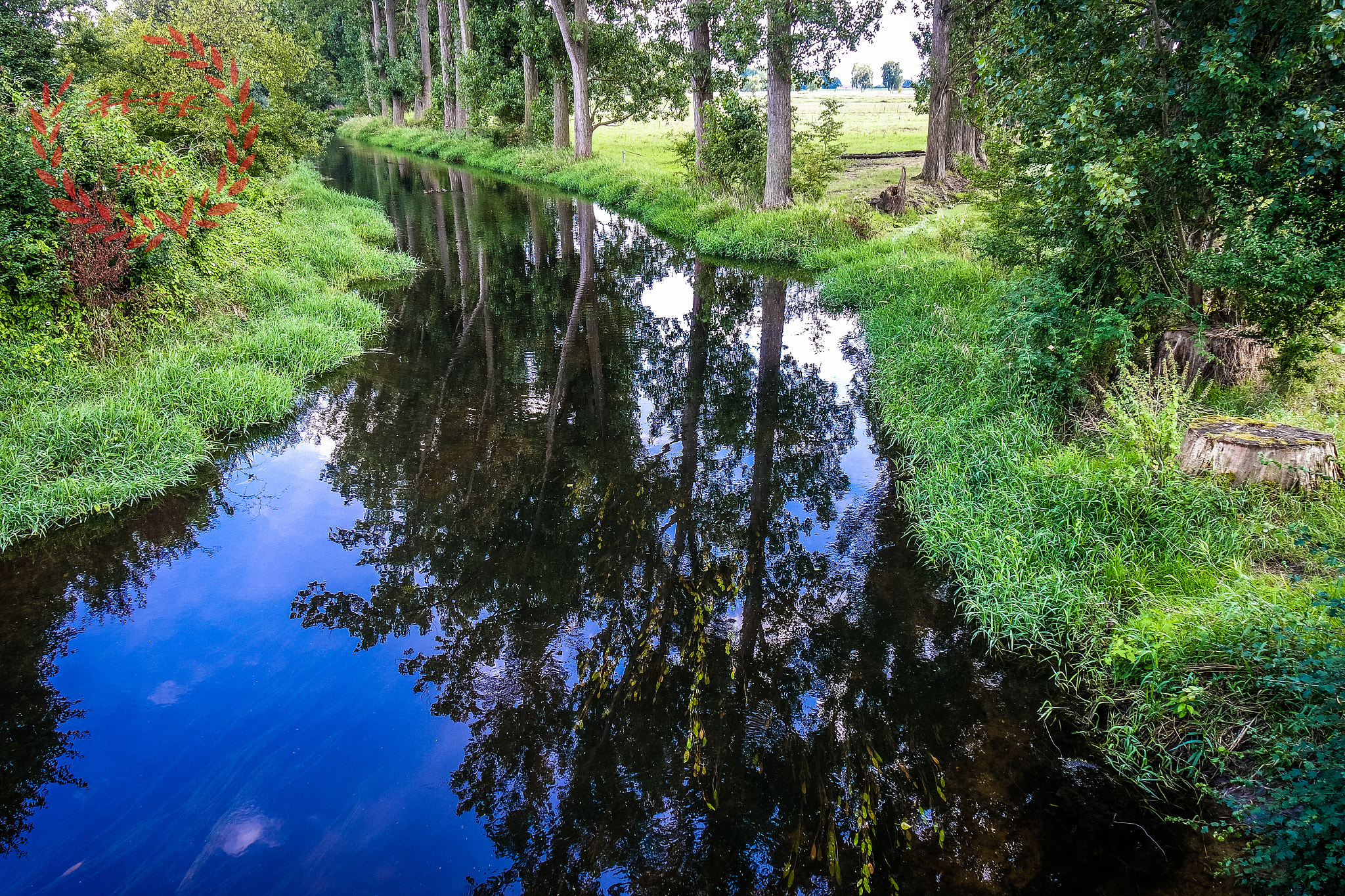 Samsung NX mini sample photo. Trebur 1 photography
