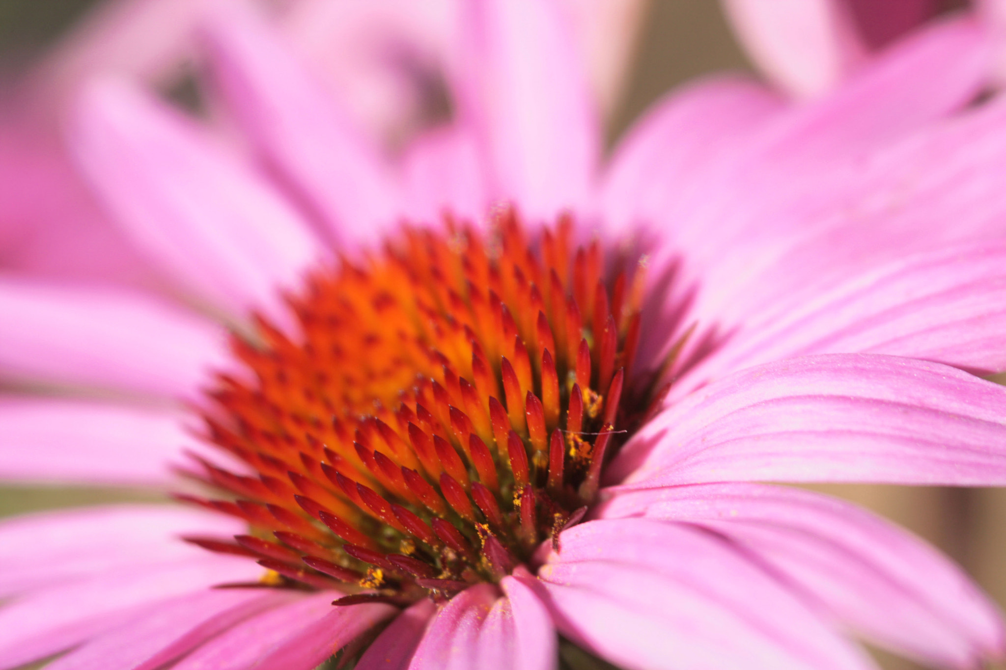 Canon EF 100-300mm F4.5-5.6 USM sample photo. 28823429815.jpg photography
