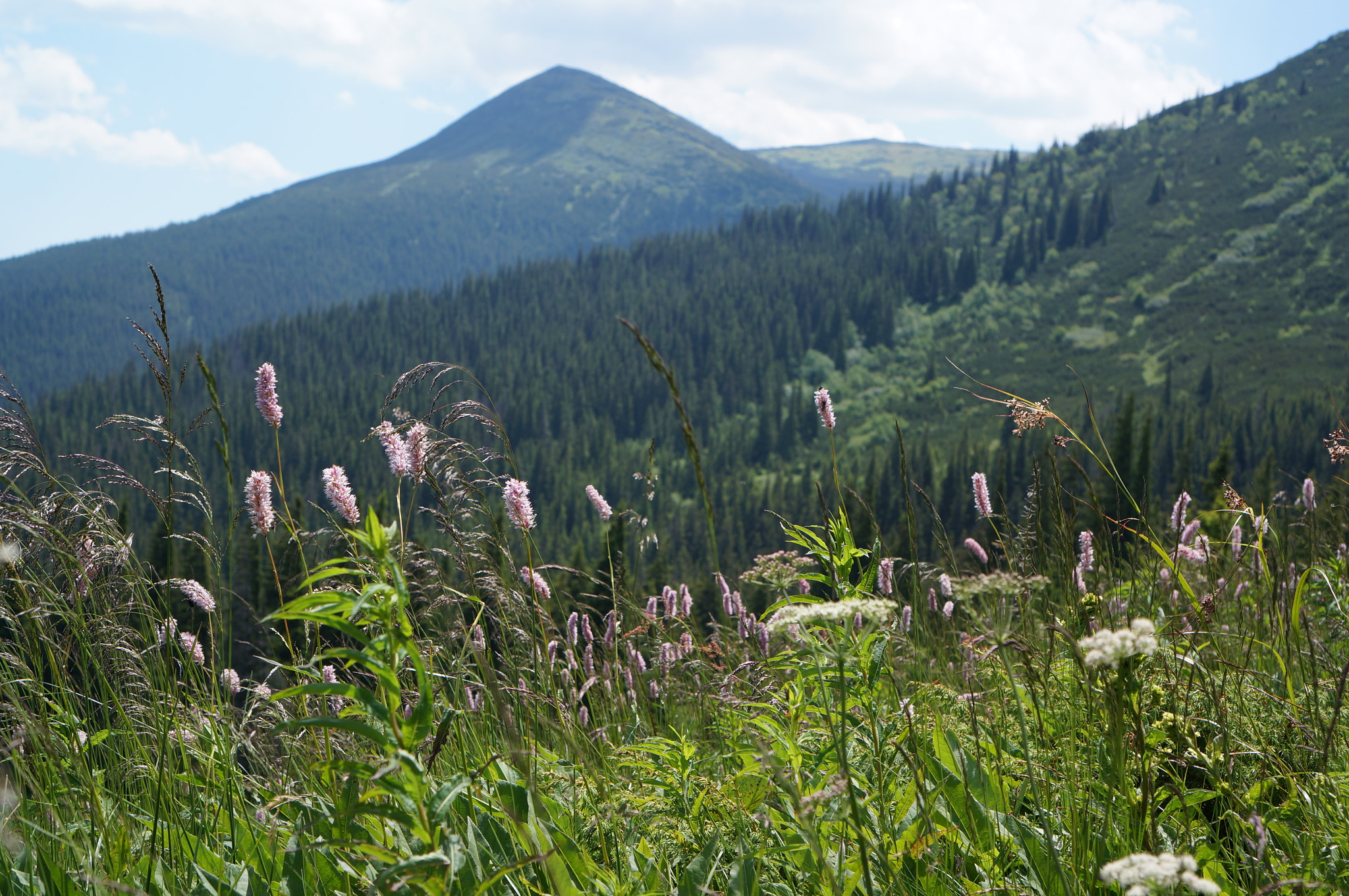 Sony Alpha NEX-6 + Sony E 35mm F1.8 OSS sample photo. Mountain landscape photography