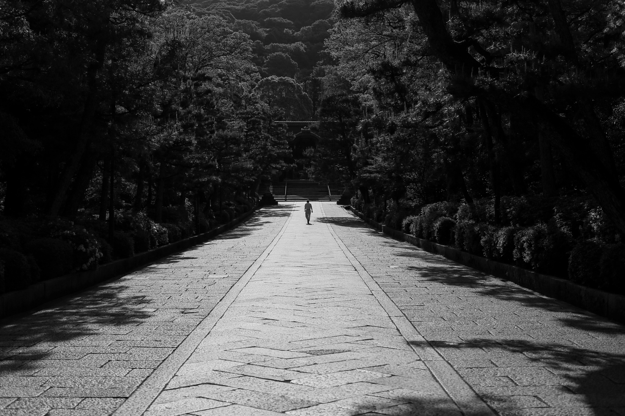 ZEISS Planar T* 50mm F1.4 sample photo. The man photography
