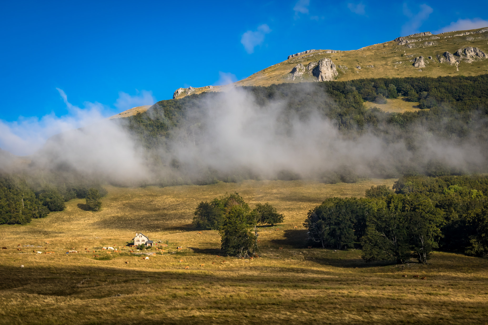 Canon EF 24-85mm F3.5-4.5 USM sample photo. Plateau d'ambel (vercors - french alps) photography