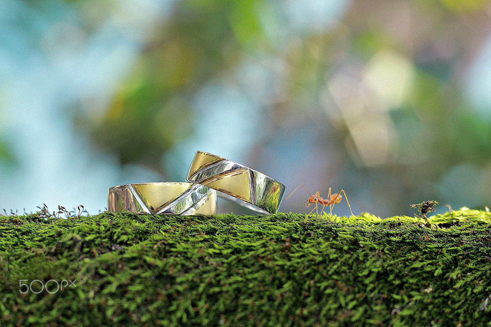 Canon EOS 60D + Canon EF 50mm F1.8 II sample photo. Wedding ring photography