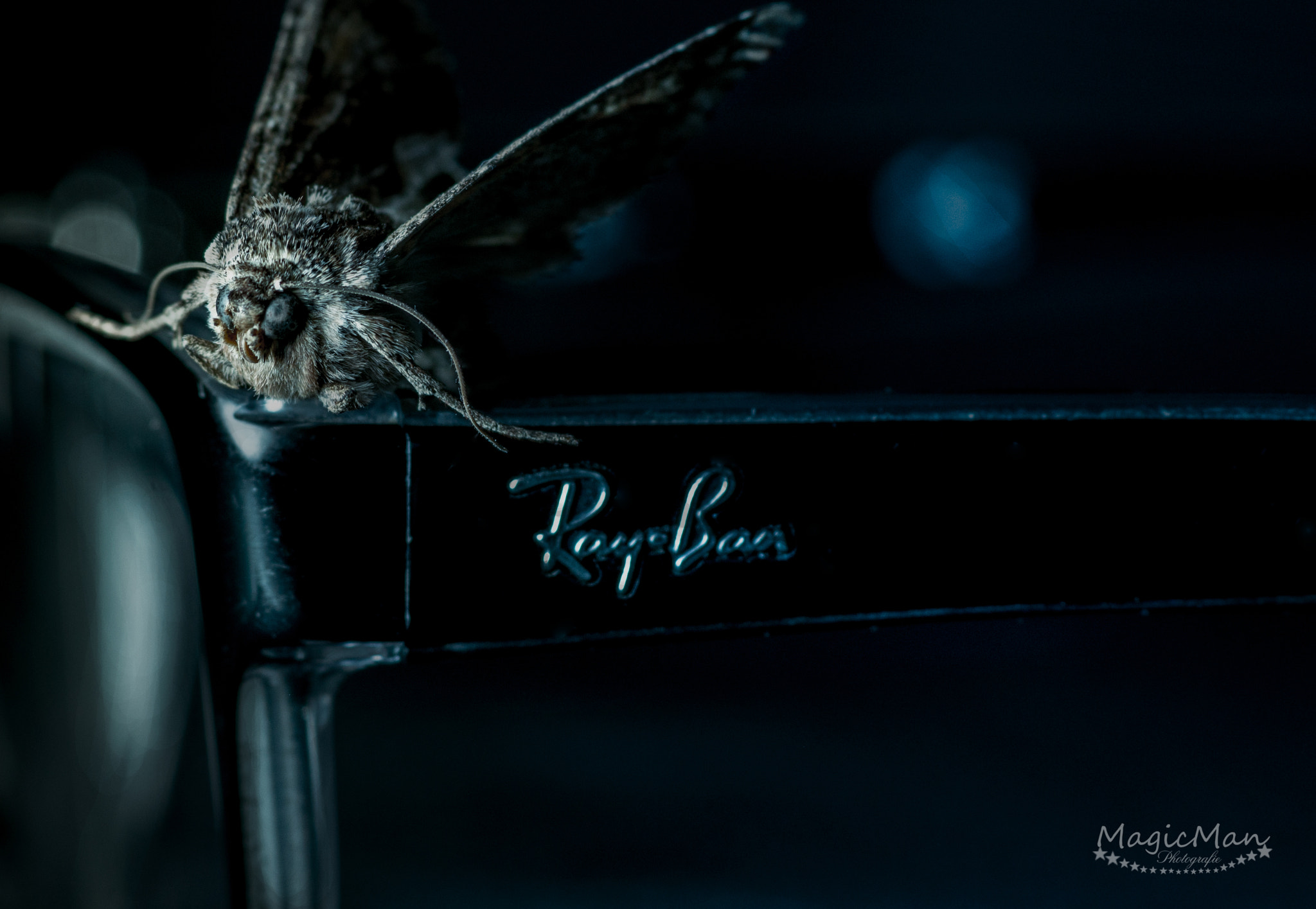 1.4x Teleconverter sample photo. Die besetzte brille photography
