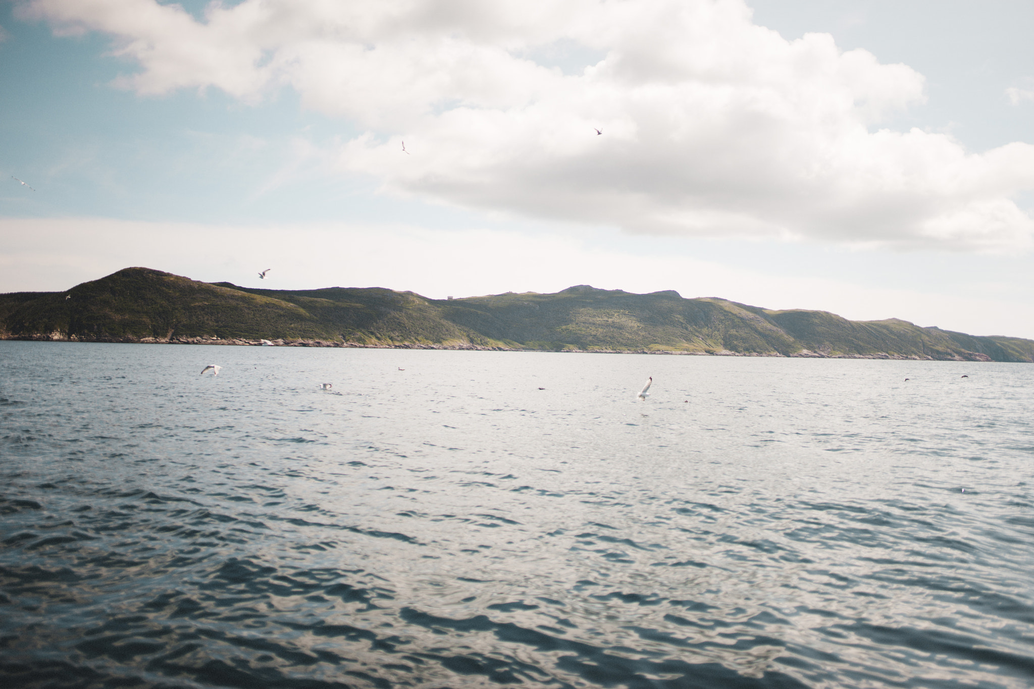Sony a99 II + Sigma 35mm F1.4 DG HSM Art sample photo. St pierre photography