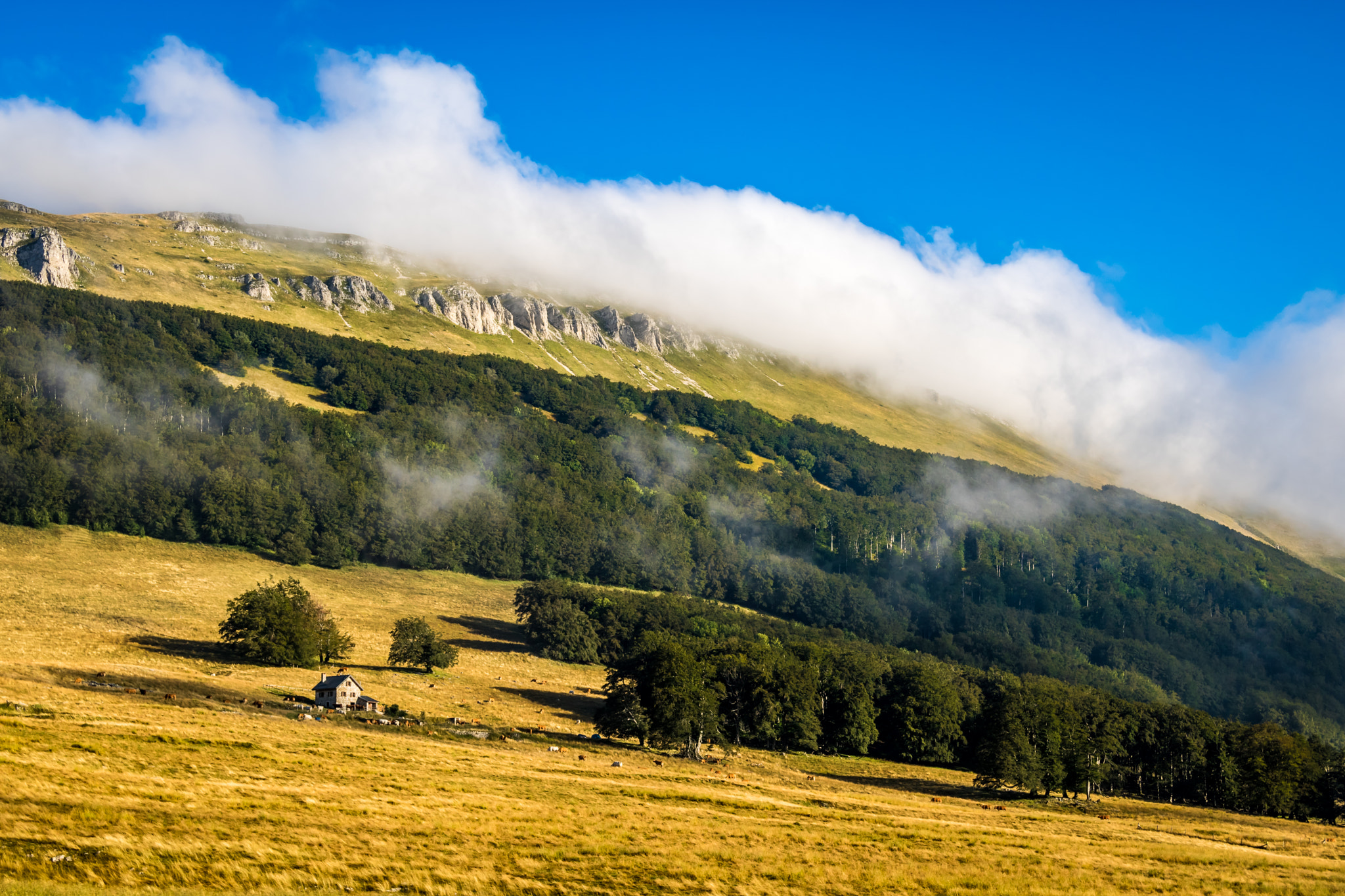 Canon EF 24-85mm F3.5-4.5 USM sample photo. Plateau d'ambel (vercors - french alps) photography