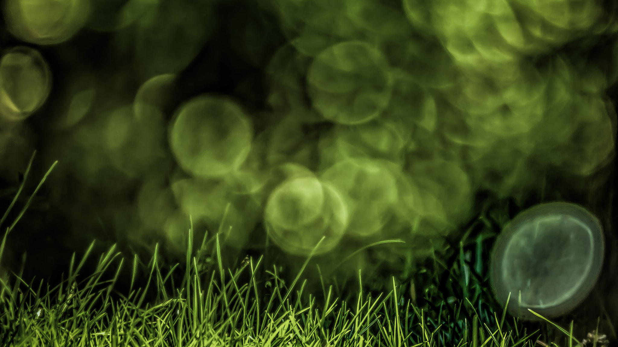 Panasonic Lumix DMC-GX8 + LEICA DG 100-400/F4.0-6.3 sample photo. Green gras #2 photography