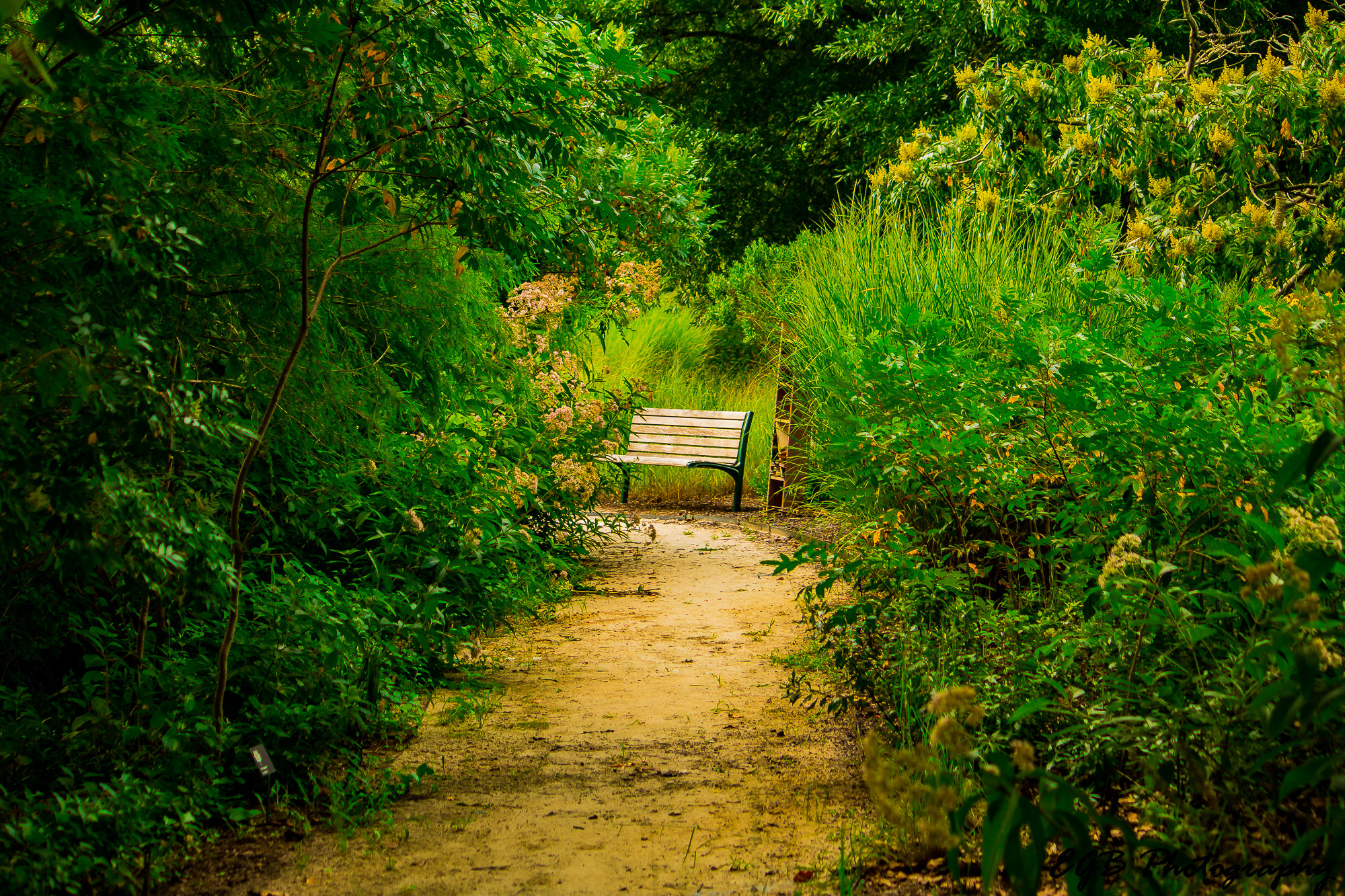 Canon EF-S 55-250mm F4-5.6 IS sample photo. A path to rest photography