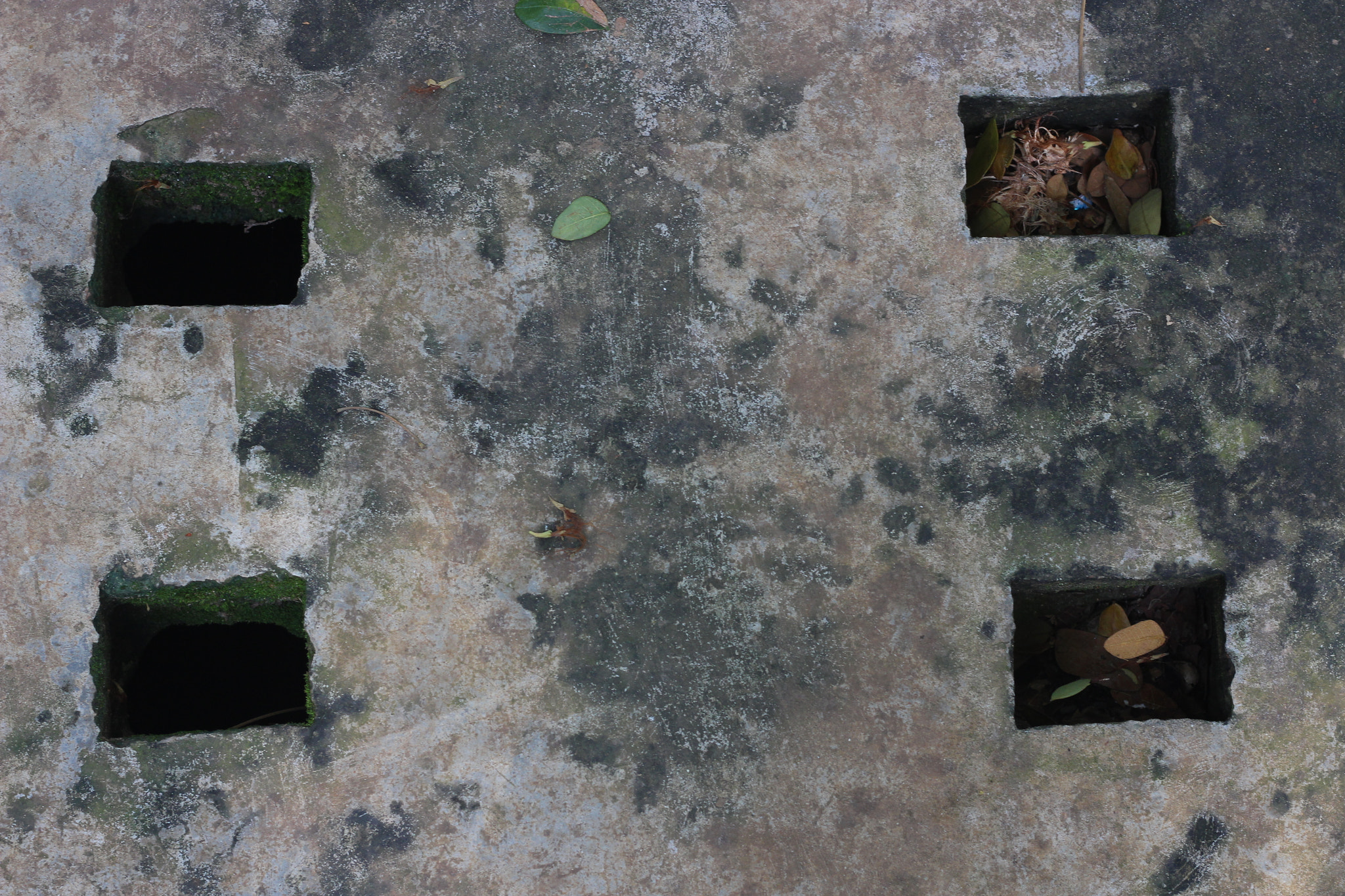 Canon EOS 700D (EOS Rebel T5i / EOS Kiss X7i) sample photo. Squares in square. photography