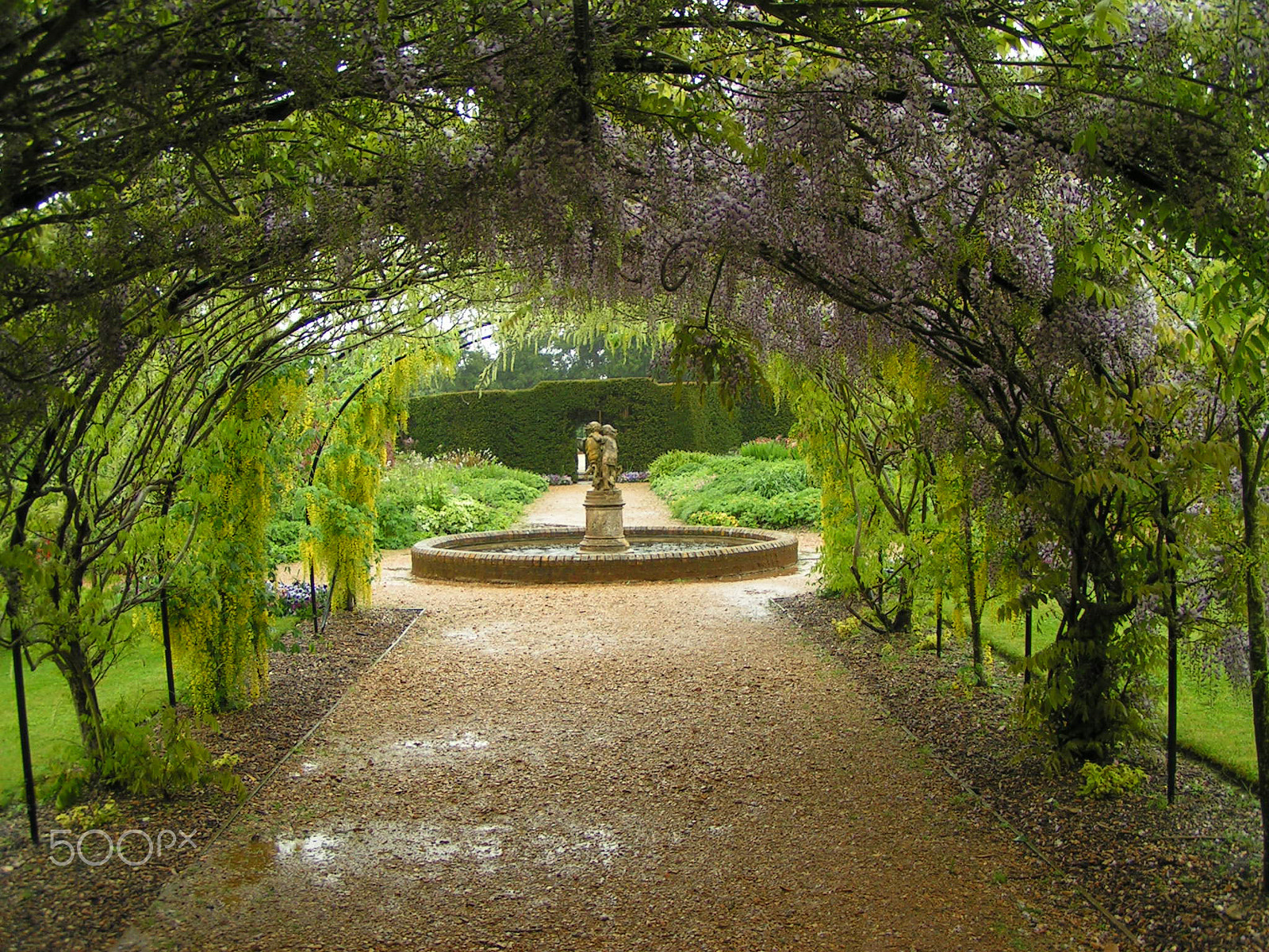 KONICA MINOLTA DiMAGE Z1 sample photo. Wisteria arch photography
