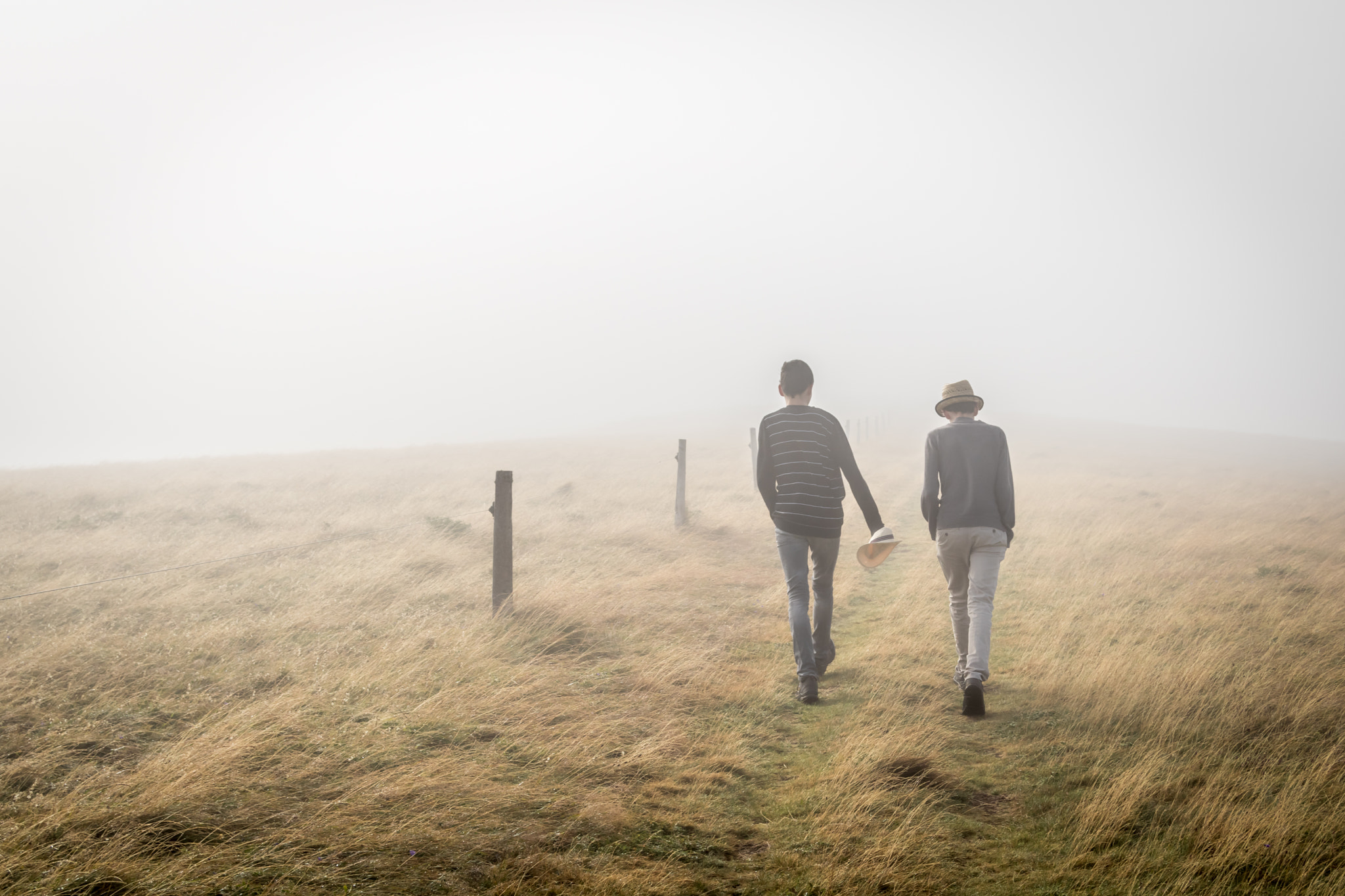 Canon EF 24-85mm F3.5-4.5 USM sample photo. In the clouds : plateau d'ambel (vercors - france) photography