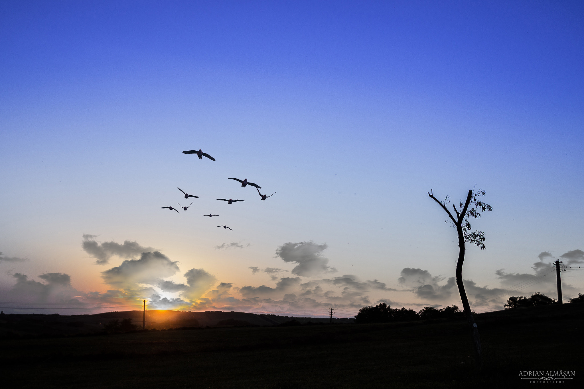 Sigma 18-125mm F3.8-5.6 DC OS HSM sample photo. " the night colours " photography