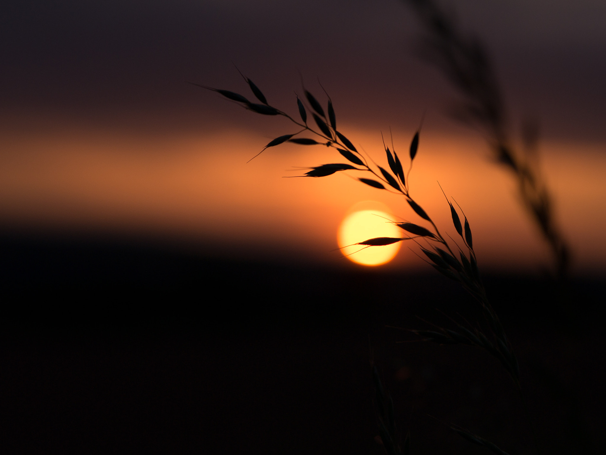 Panasonic Lumix G 42.5mm F1.7 ASPH Power OIS sample photo. Twilight photography