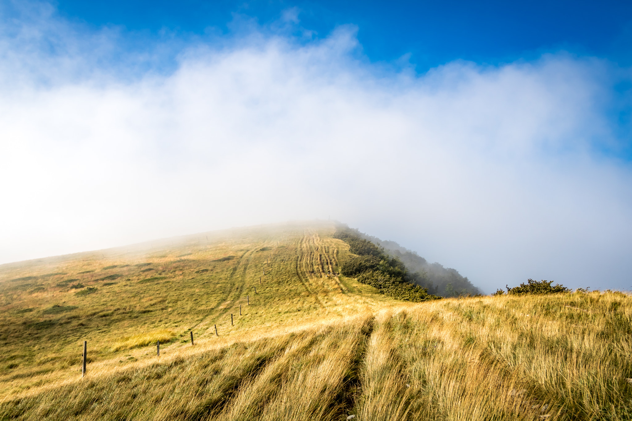 Canon EF 24-85mm F3.5-4.5 USM sample photo. Plateau d'ambel (vercors - french alps) photography