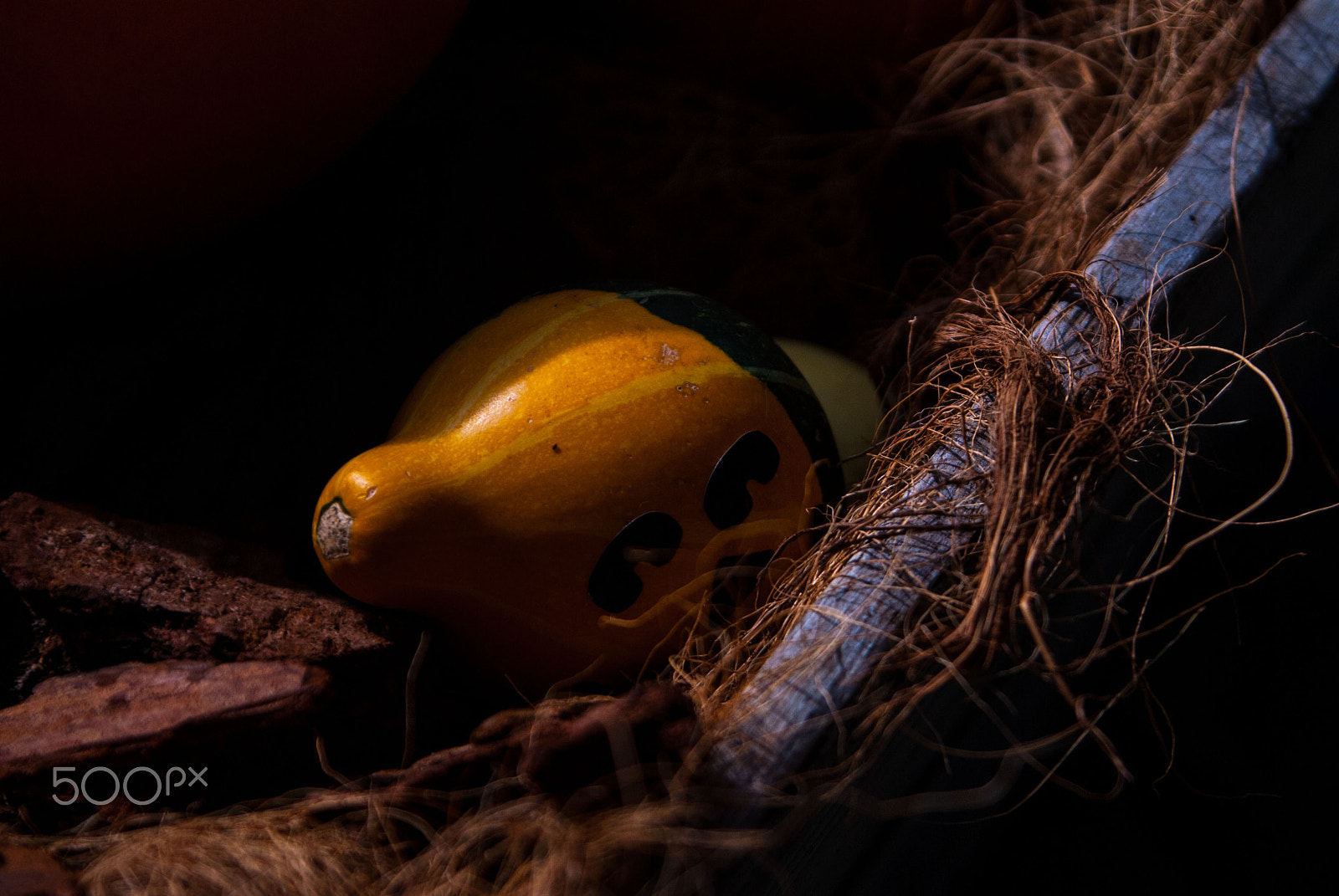 Nikon D200 sample photo. Day off, pumpkin. photography