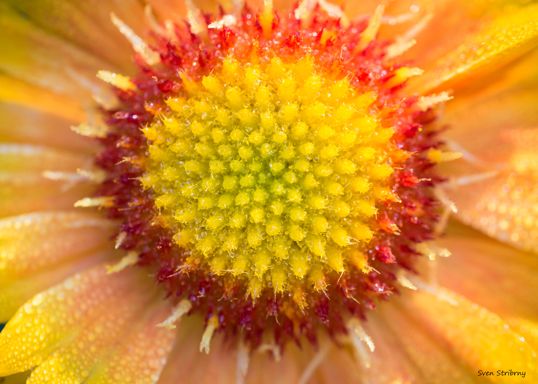 Sigma 105mm F2.8 EX DG OS HSM sample photo