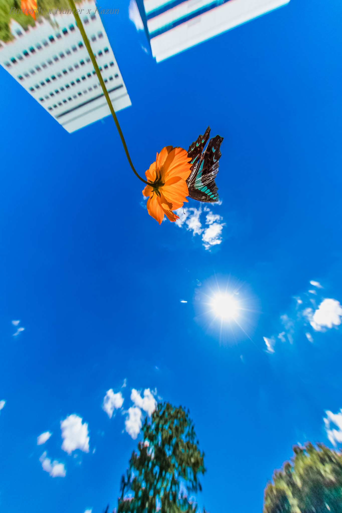 Canon EF 8-15mm F4L Fisheye USM sample photo. Hi! photography